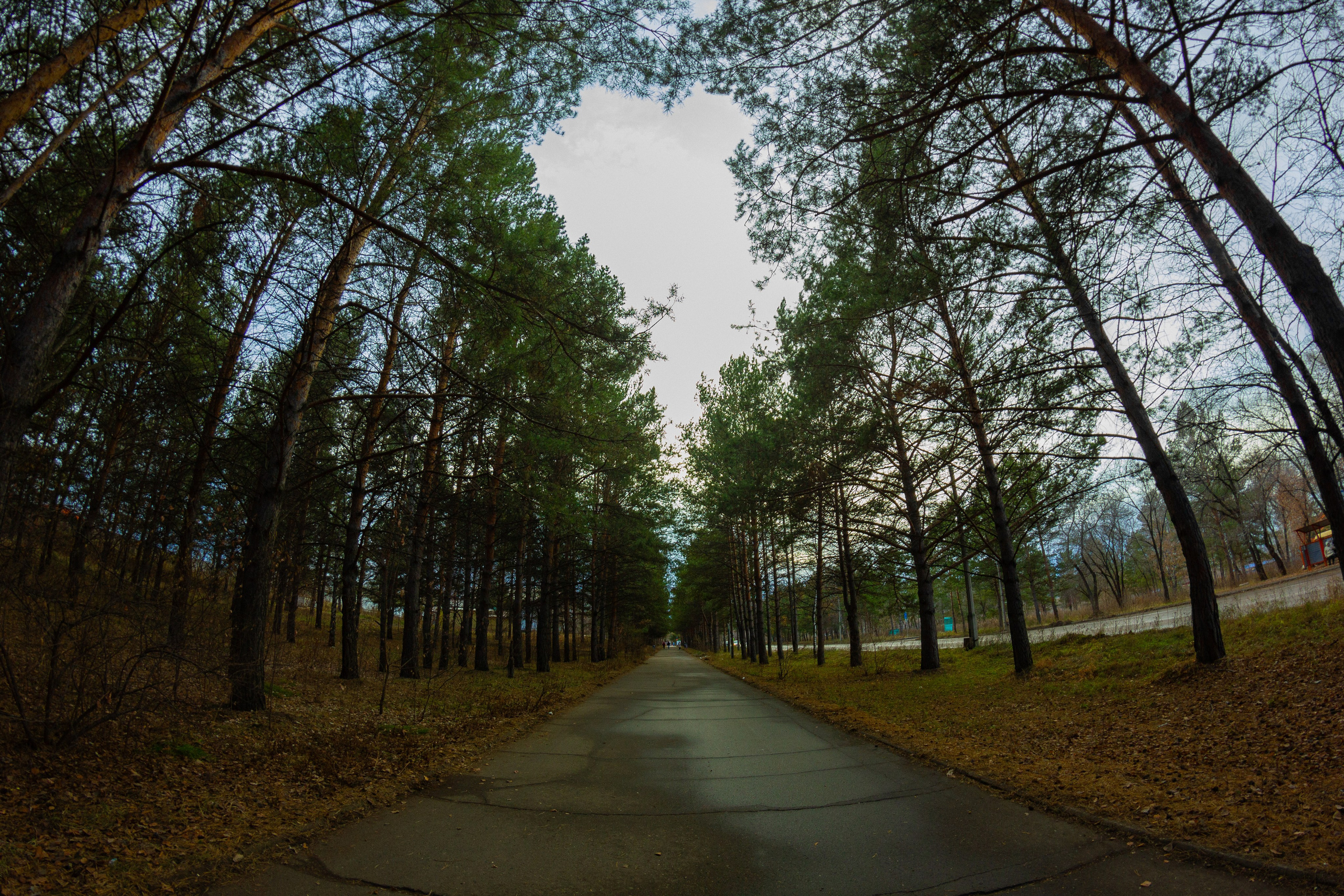 04.11.2024 | Сосновоборск. Kuznetsov | Фотограф в Красноярске