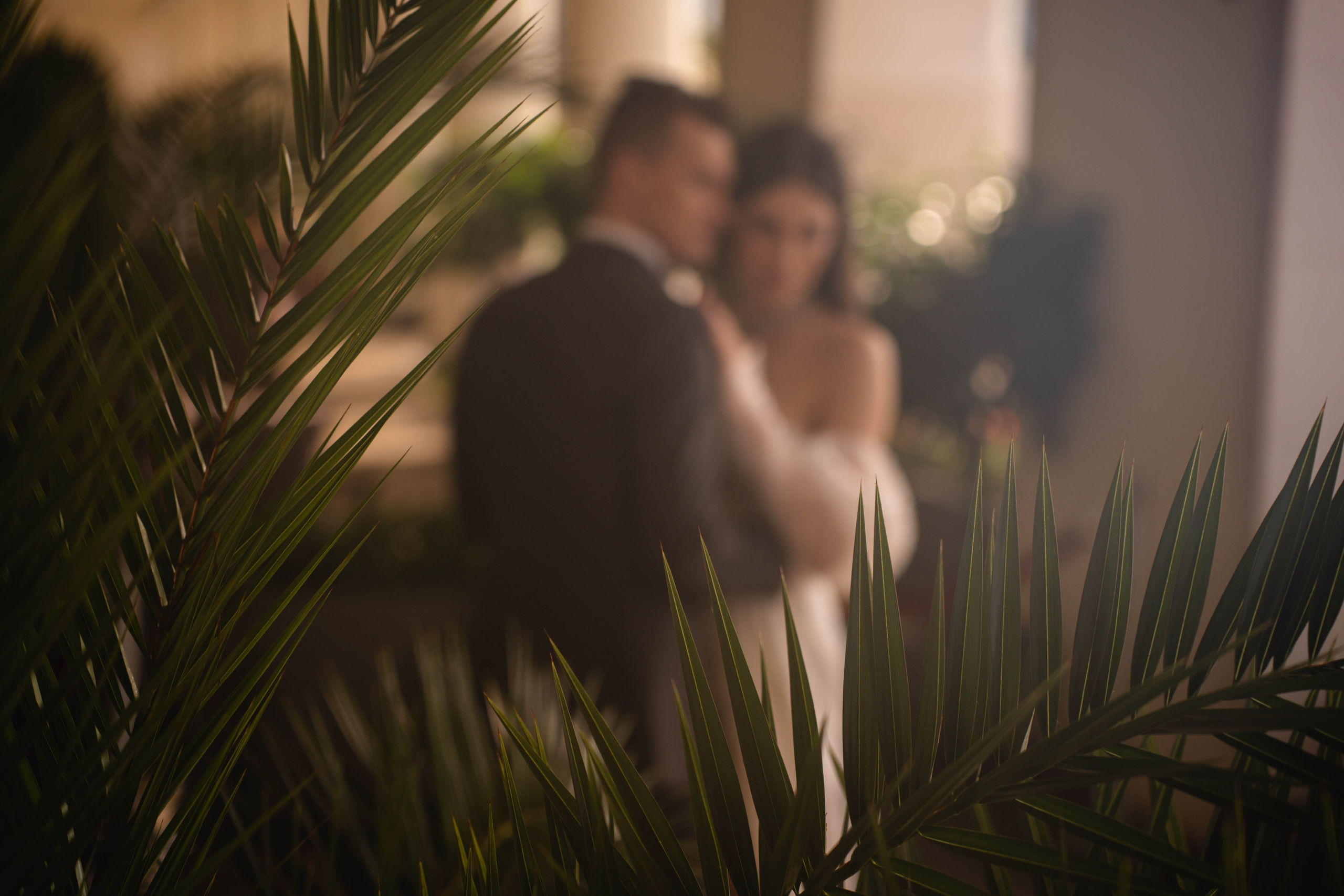 Сергей и Алёна. СВАДЕБНЫЙ ФОТОГРАФ КРАСНОДАР