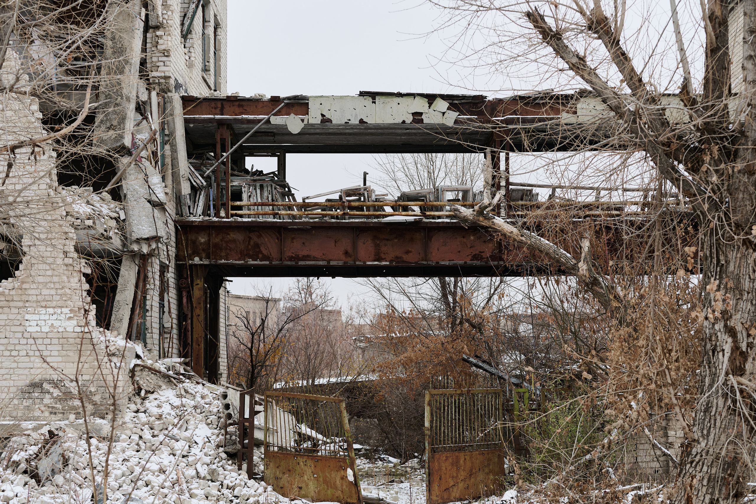 Рубежное. Декабрь 2024. Фотограф Роман Адлер