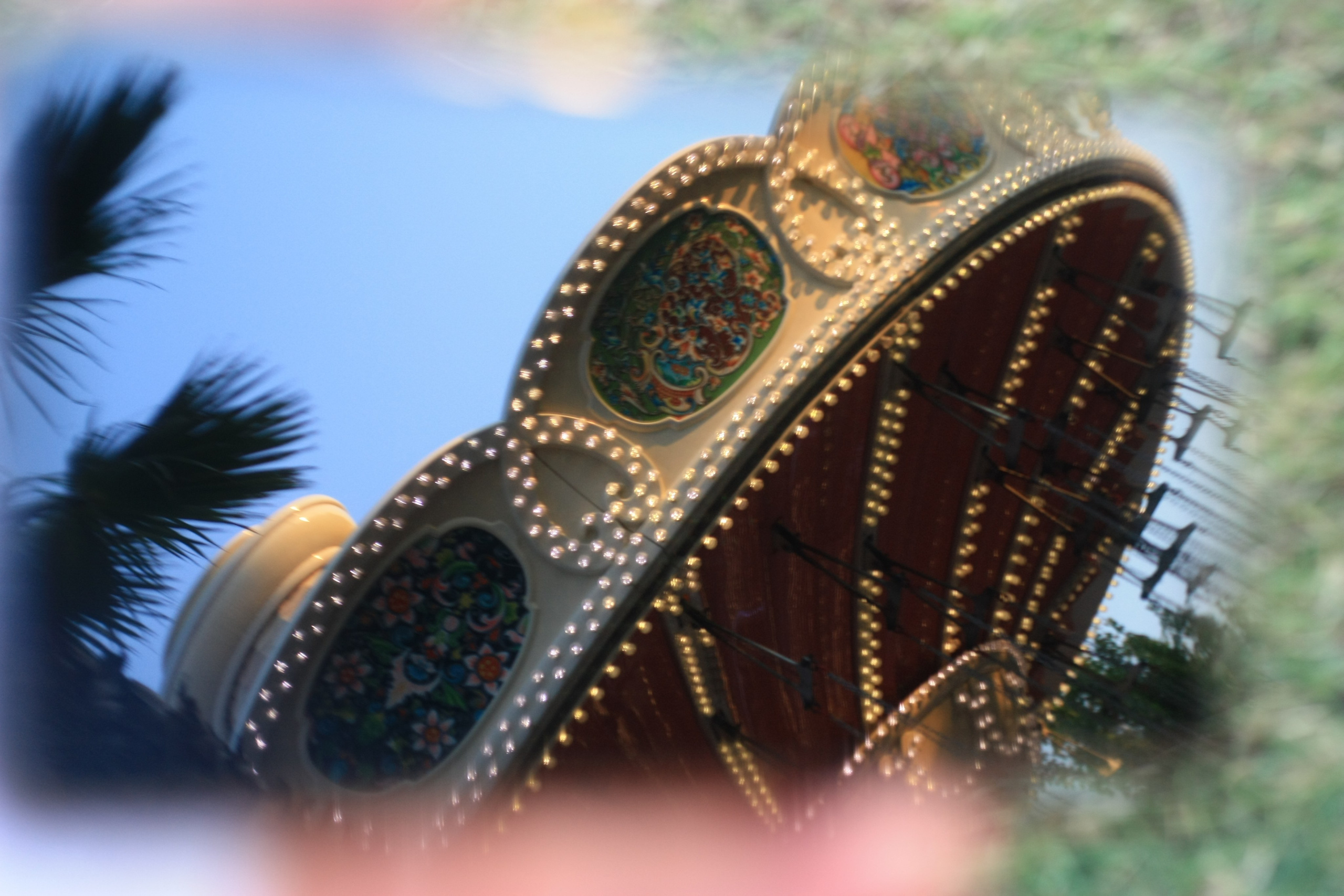 Первые кадры. Сочи — парк. Фотограф Роман Адлер