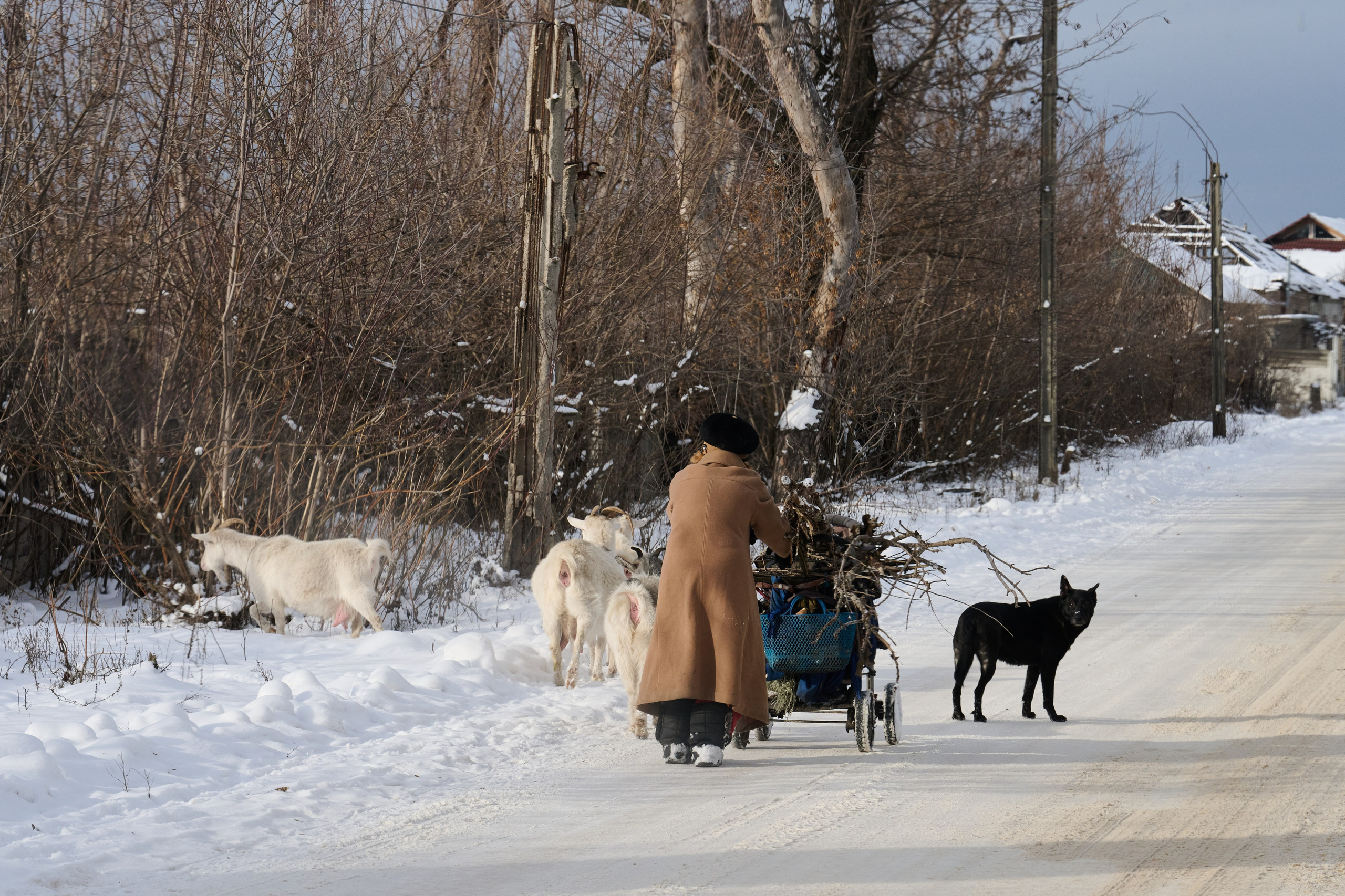 Рубежное. Январь 2026. Фотограф Роман Адлер
