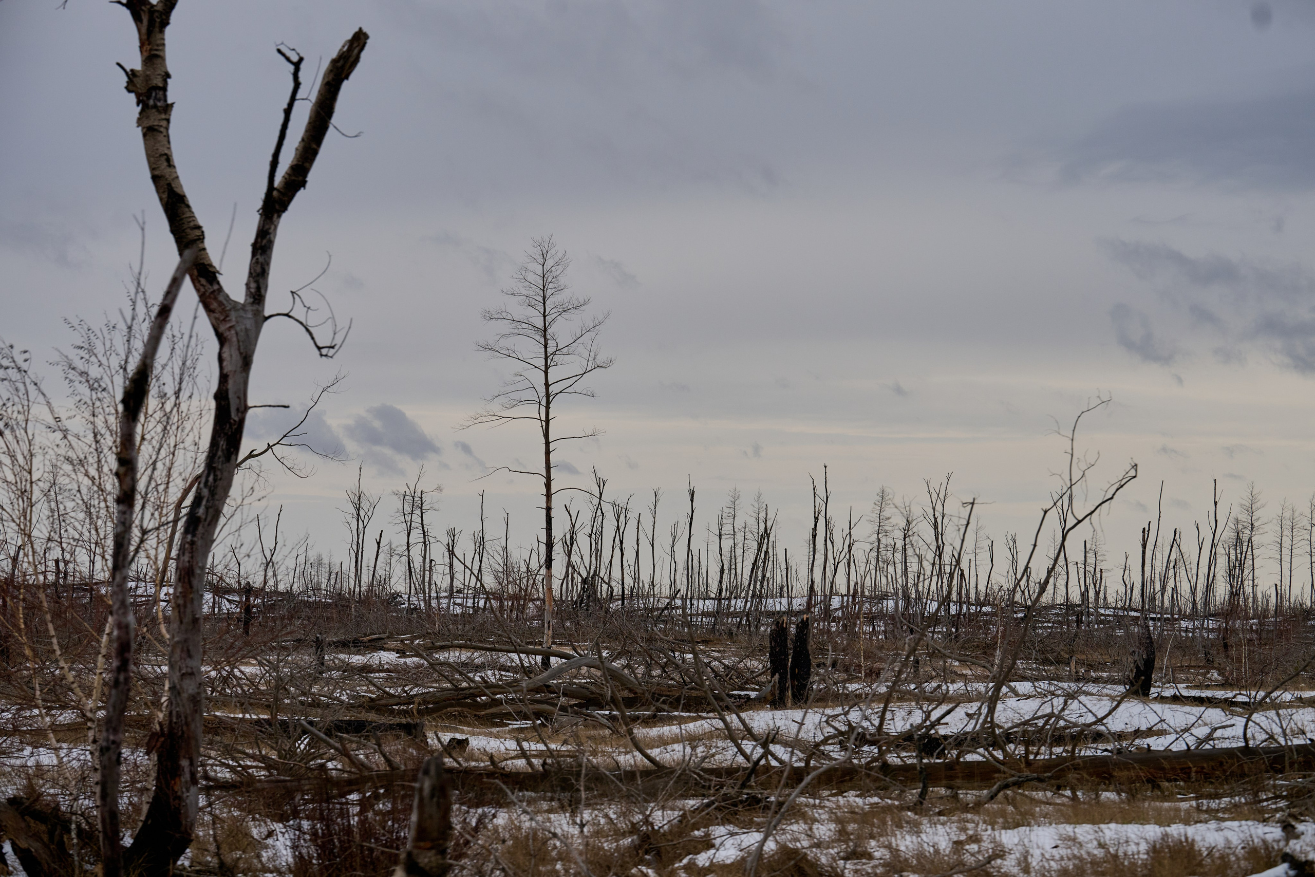 Луганск. Январь 2026. Фотограф Роман Адлер