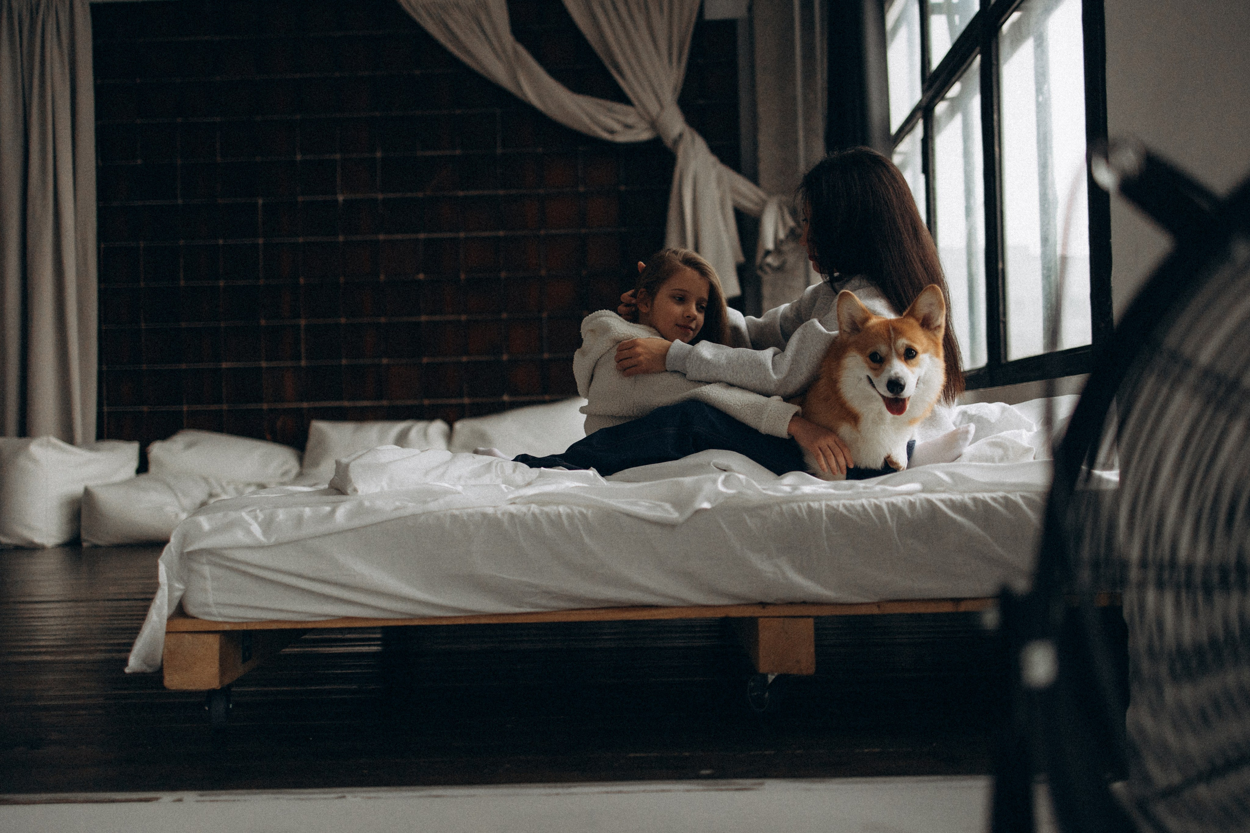 Зевс и его семья. Фотораф — анималист Мария Шистка