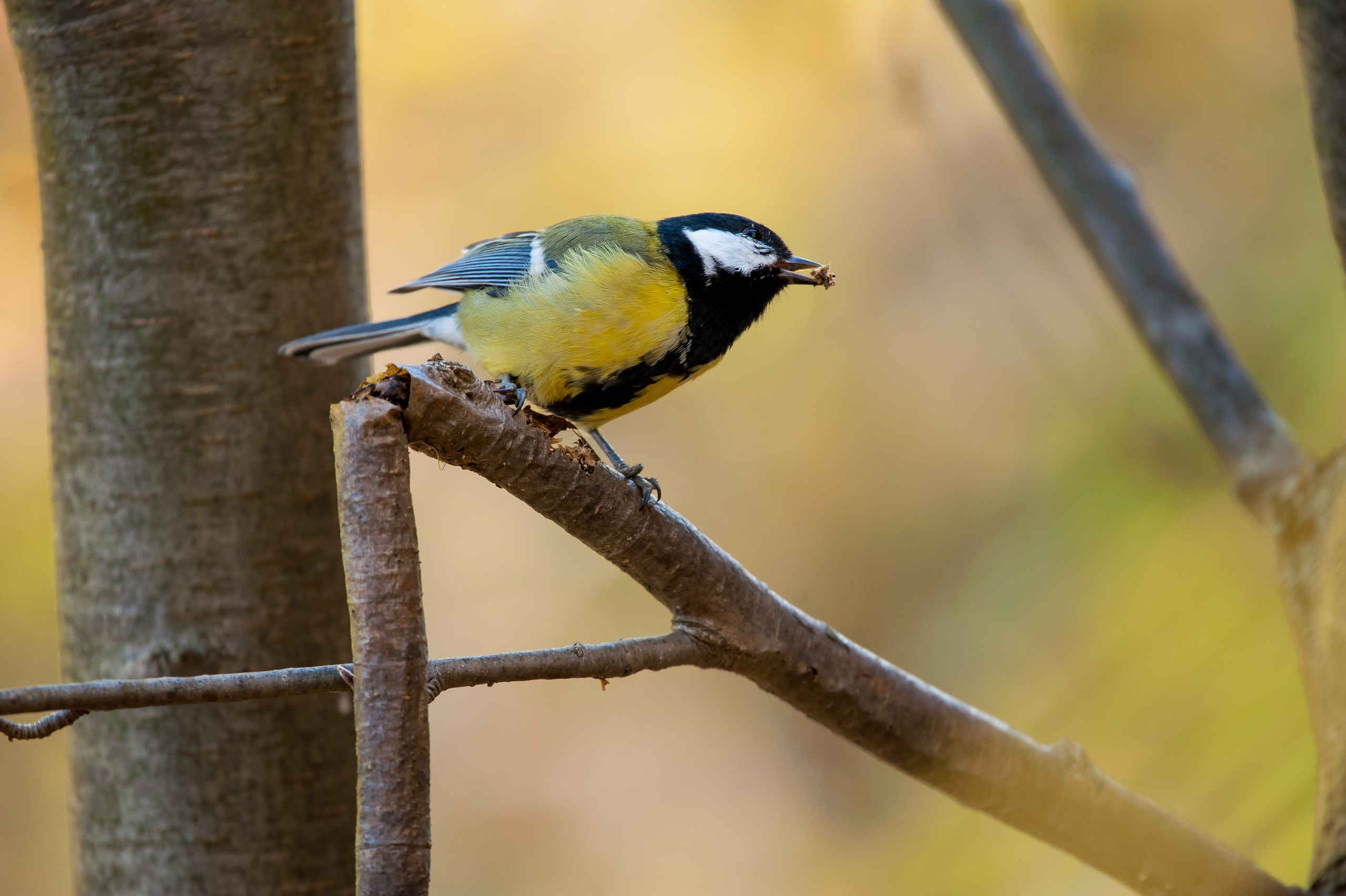 Фотоохота. Репортажный фотограф в Ижевске Константин Ившин