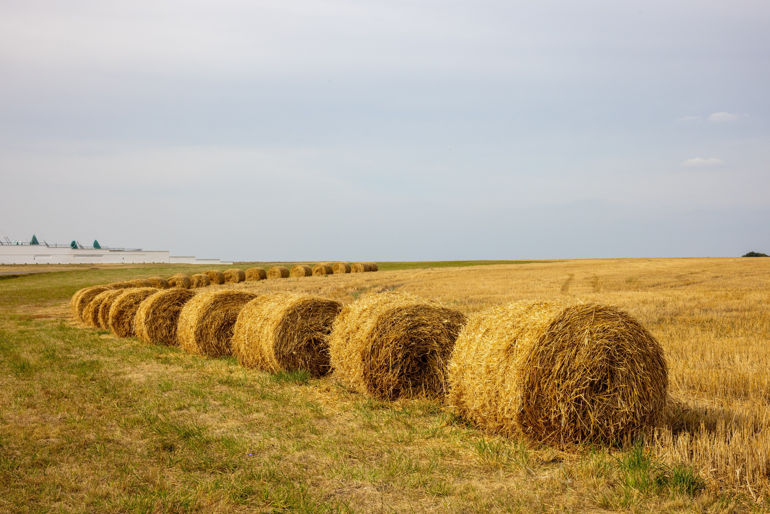 Поездка на поле Кулеково. Фотограф в Туле Крупский АнДРей. Фотостудия «КАДР71» в Туле