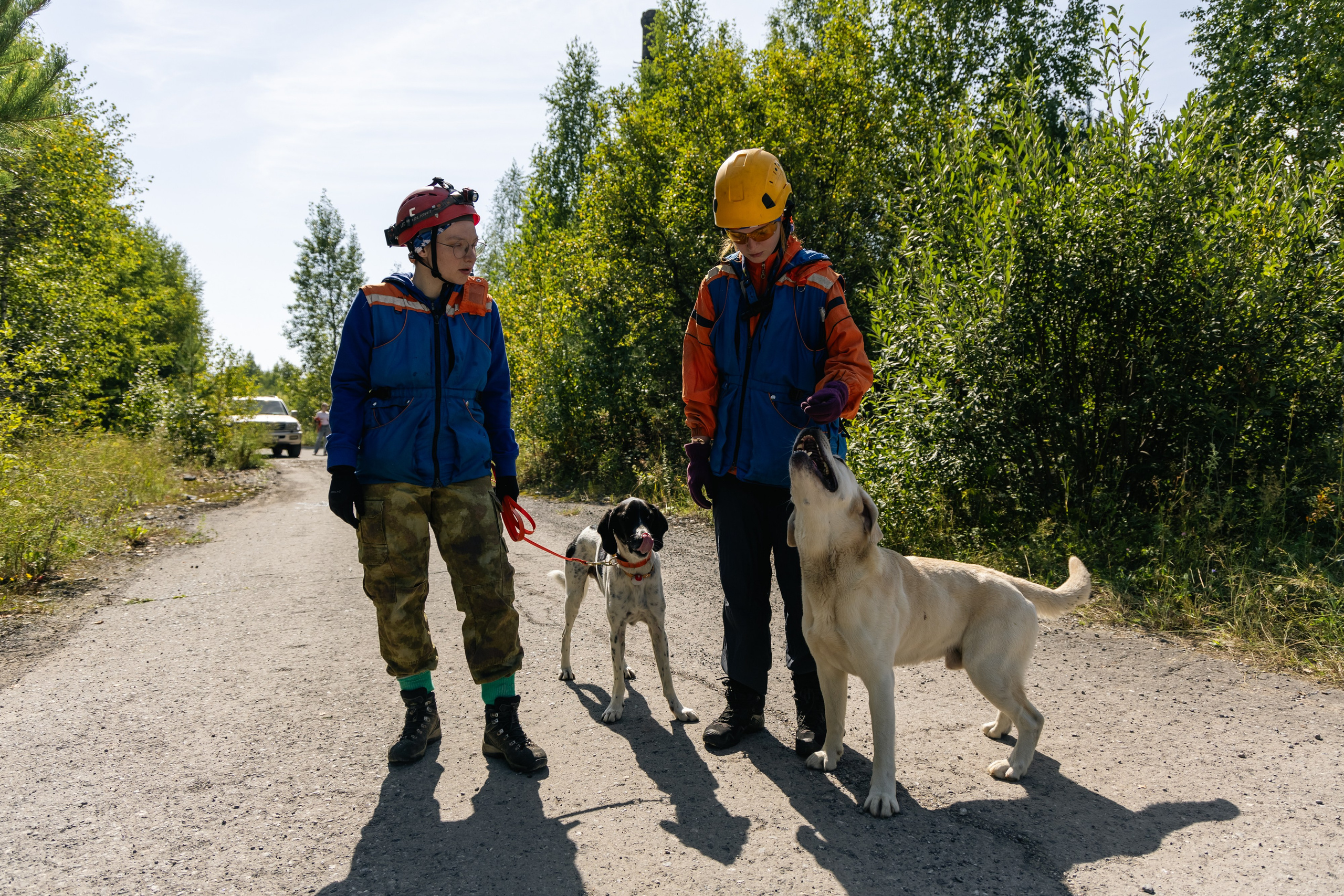 VI ОТКРЫТЫЕ КИНОЛОГИЧЕСКИЕ СОРЕВНОВАНИЯ. ЧЕЛЯБИНСКАЯ ОБЛАСТЬ 2025. Репортажный фотограф Наталья Лапцевич