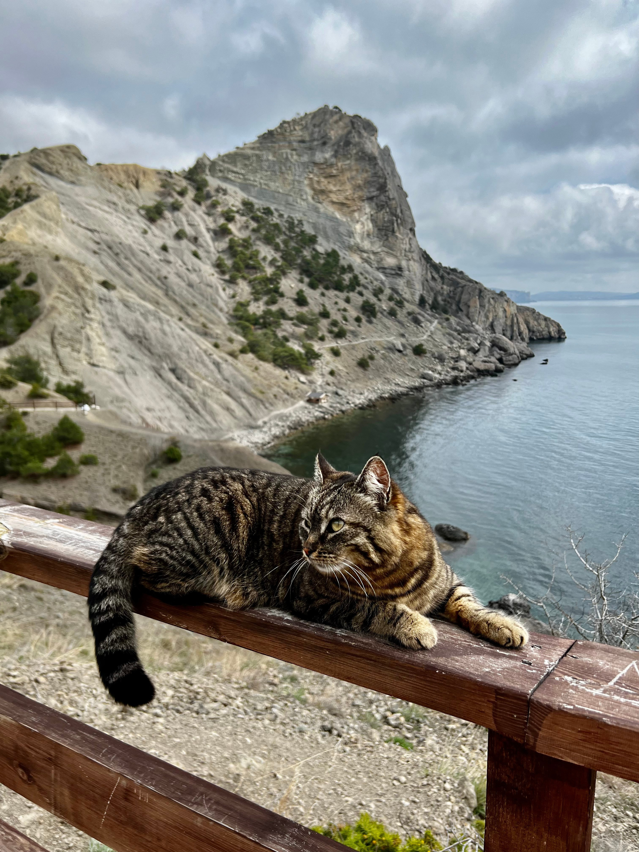 Топ локаций для фотосессии в Крыму - советы от фотографа. Профессиональная фотосъемка в Крыму. Натуральные эмоции и живые кадры. Забронируйте дату прямо сейчас!