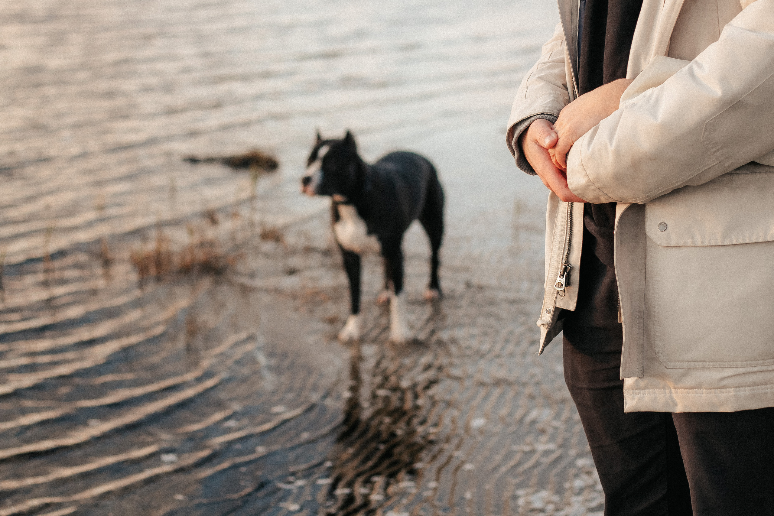 Katya Yura. Портретные и свадебные съемки