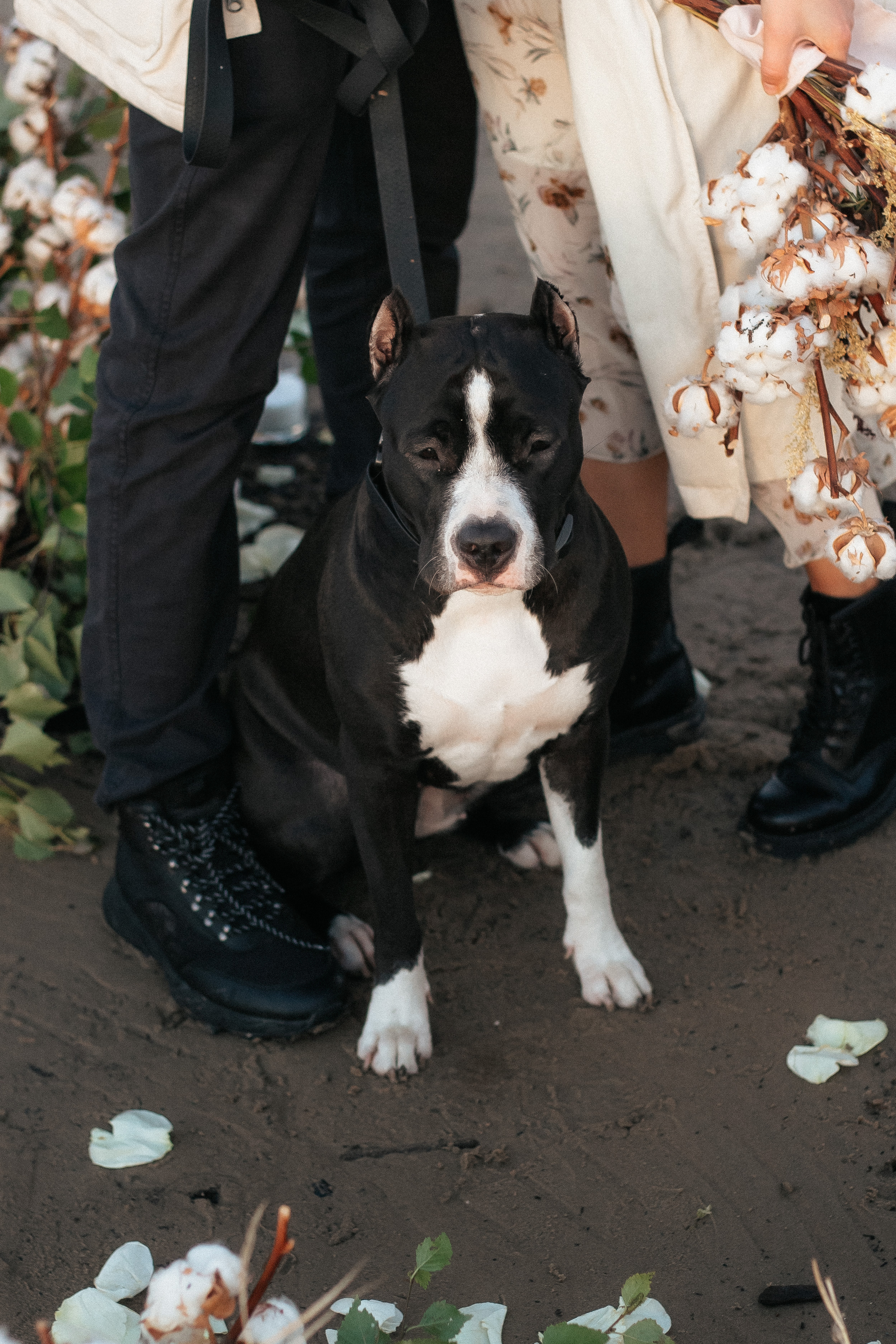 Katya Yura | Yagry Island, Severodvinsk. Портретные и свадебные съемки