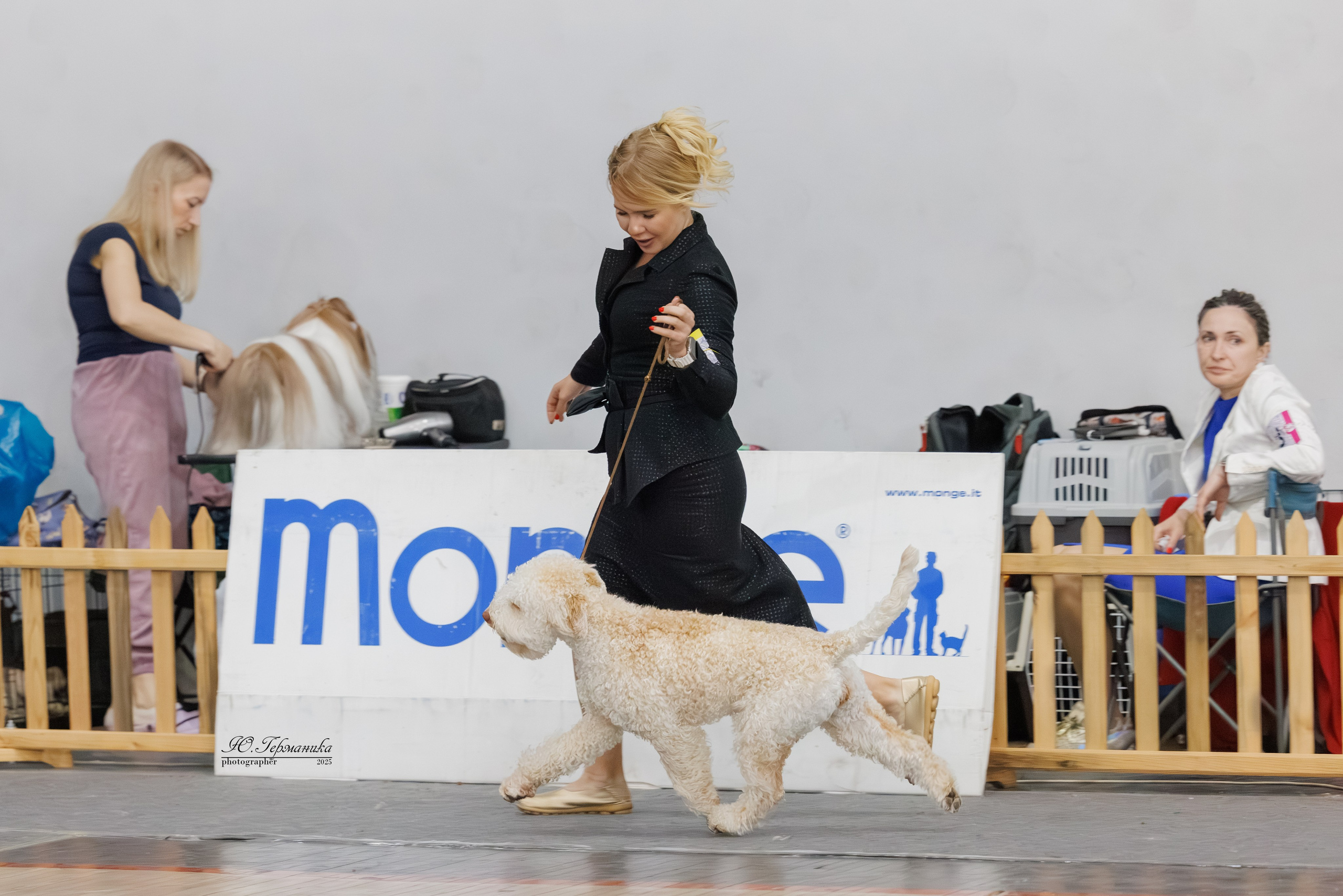 Ереван 2х CACIB 29-30.04.2025. Фотограф-анималист Юлия Германика