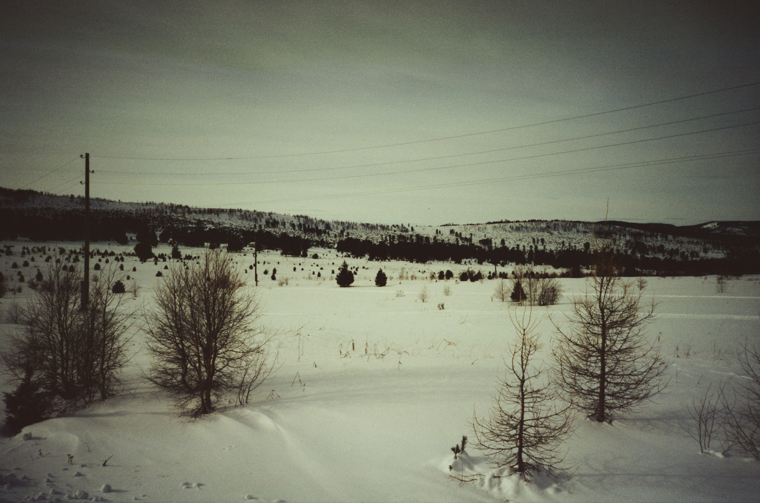 Дорога в верхах Алтая и Семинский перевал. Фотограф-документалист Мария Осокина