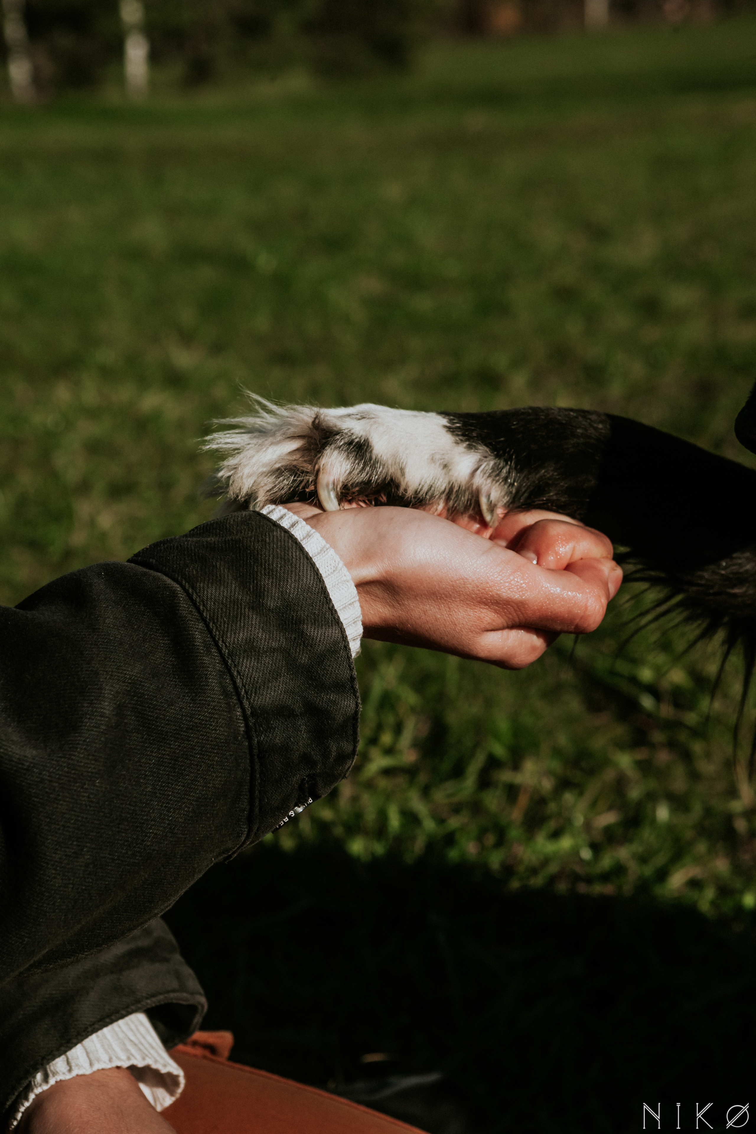 Sasha and Chernysh. Фотограф Николь Фолиянц