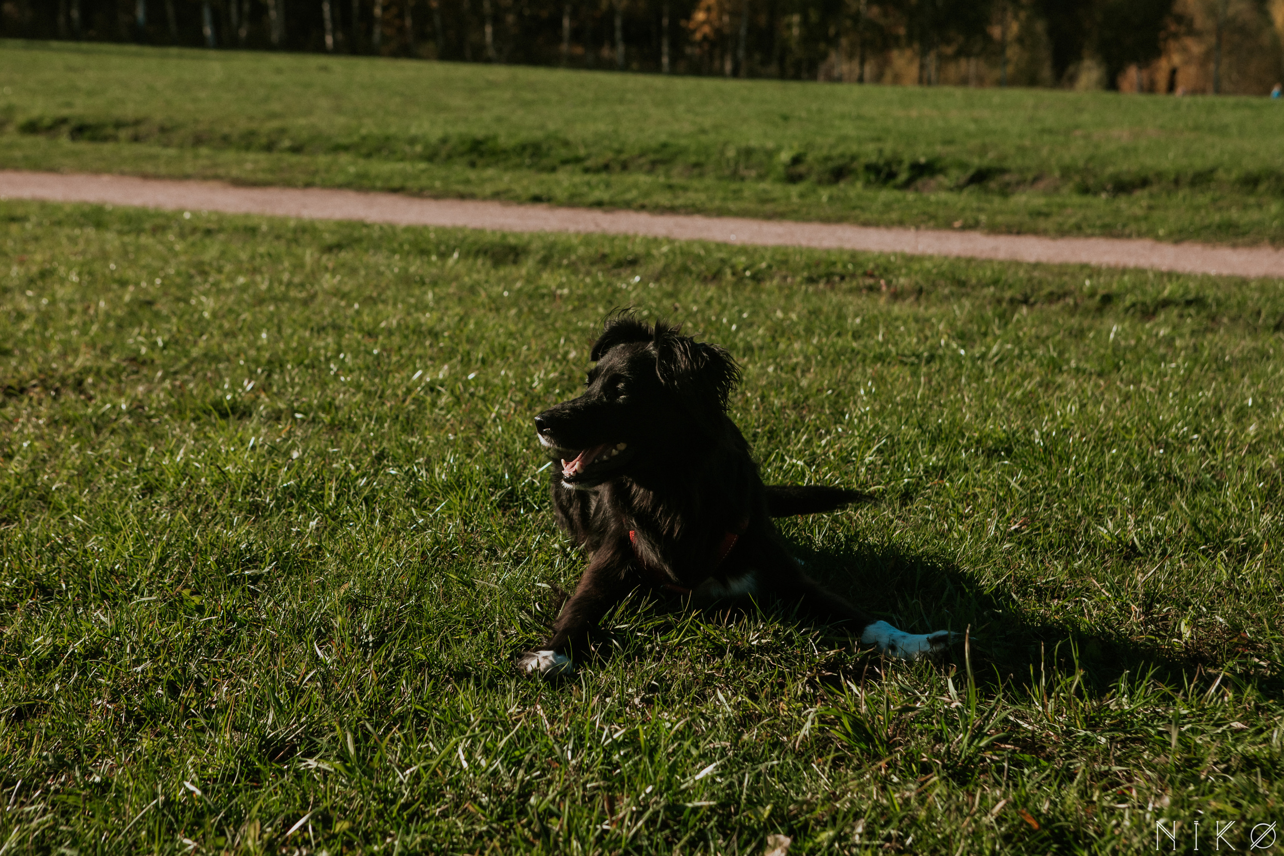 Sasha and Chernysh. Фотограф Николь Фолиянц