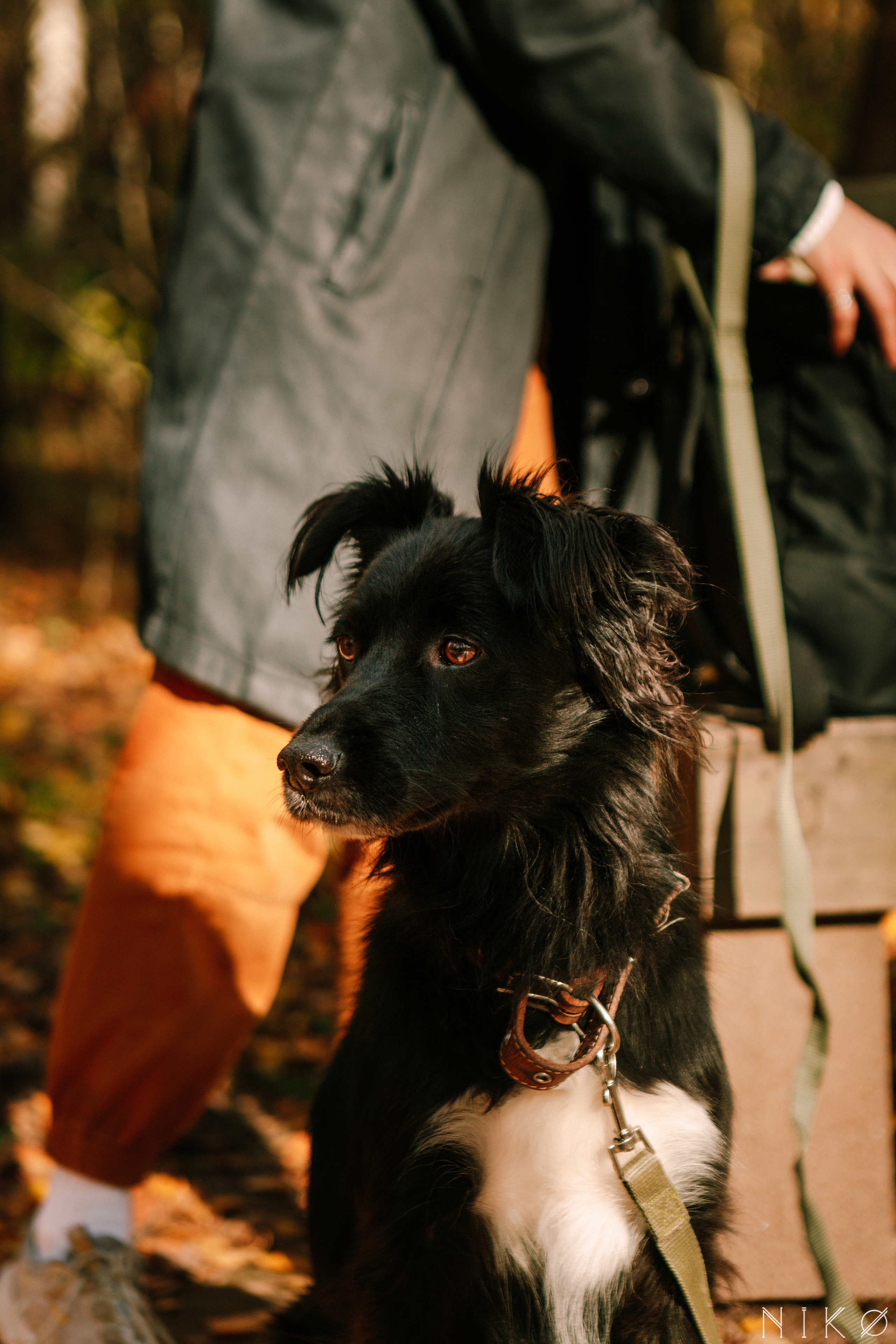 Sasha and Chernysh. Фотограф Николь Фолиянц