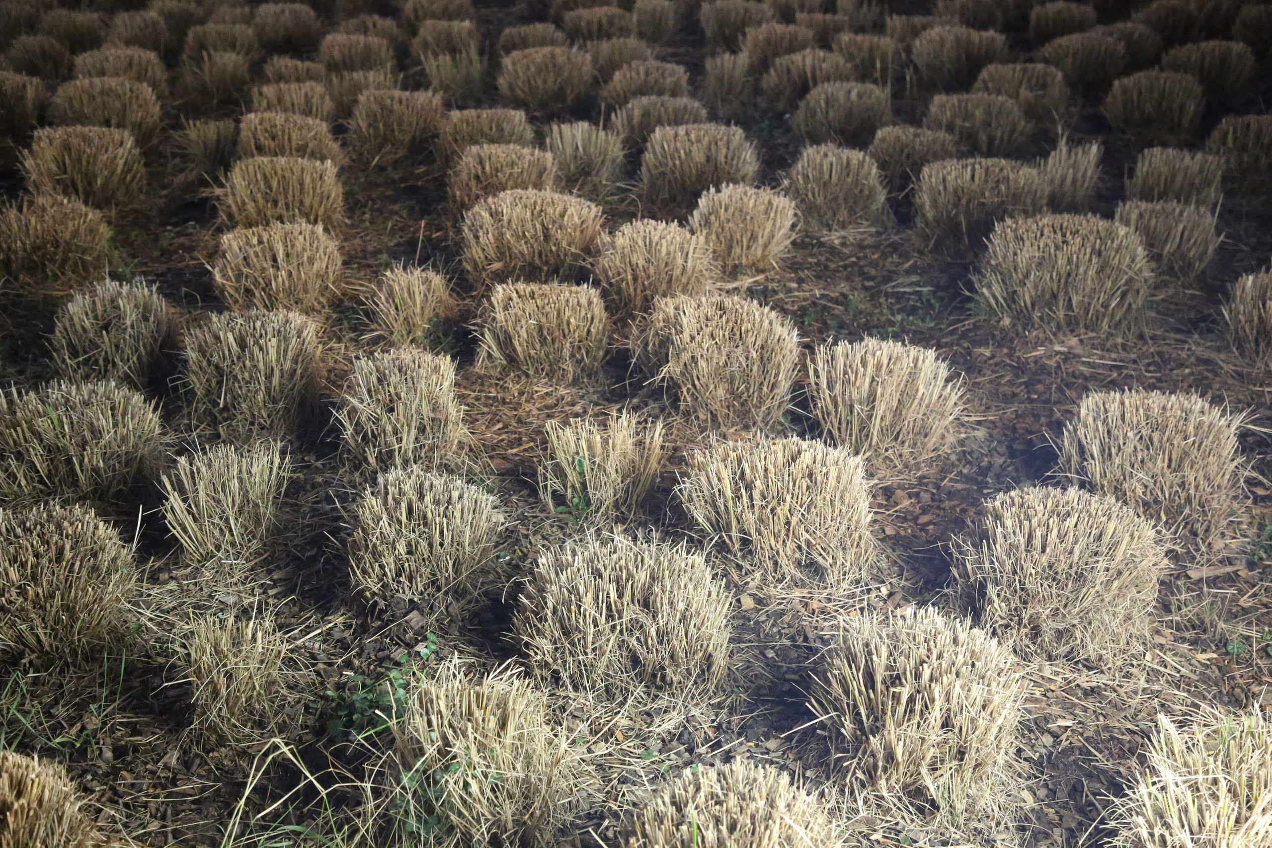 Geneva, Switzerland. Andrey Filippov Photographer