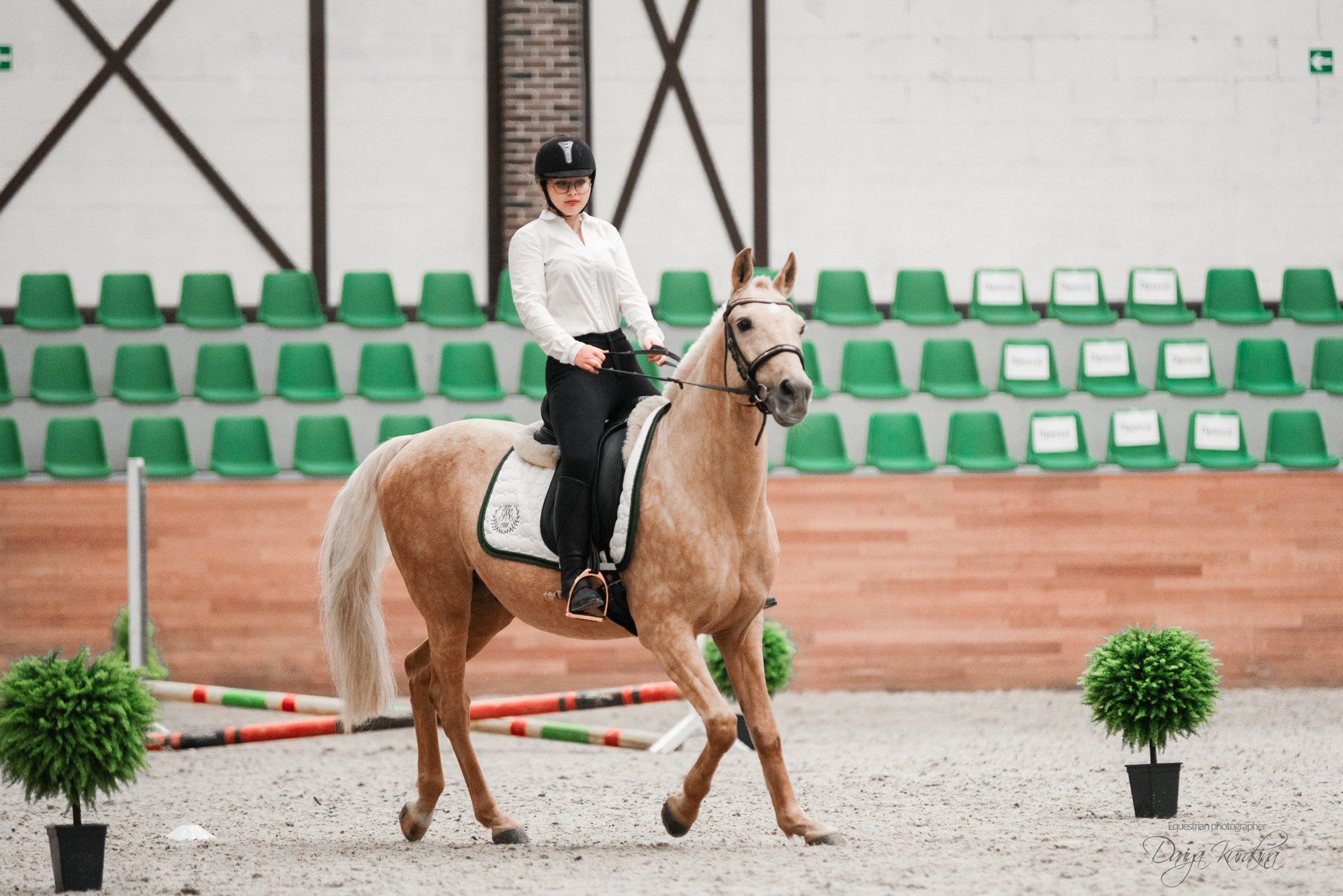 8-я международная выставка Конная Россия. Конный фотограф Куракина Дарья • Фотосессии с лошадьми