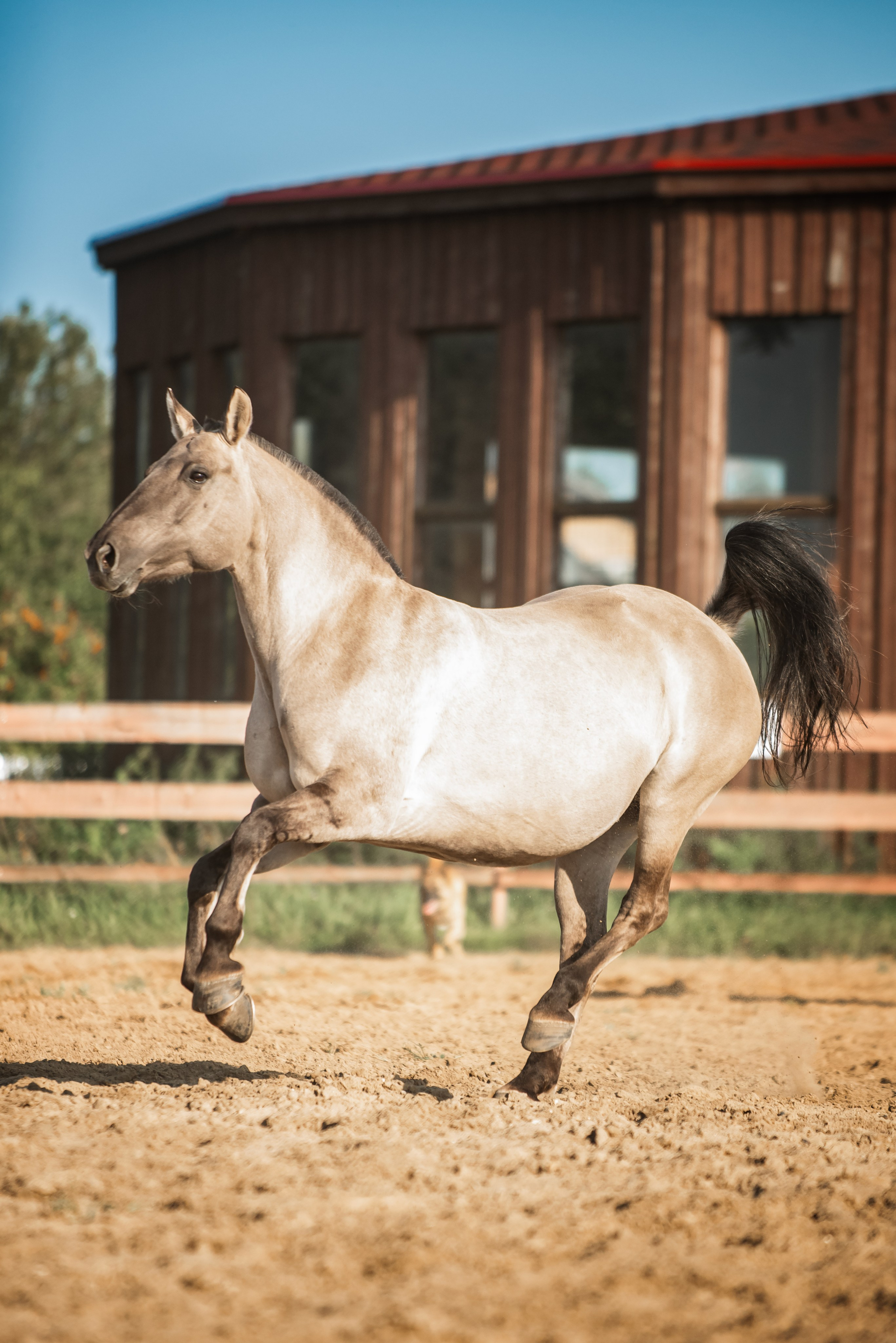 Катя SedlaMSK и Кася с Габи. Конный фотограф Куракина Дарья • Фотосессии с лошадьми