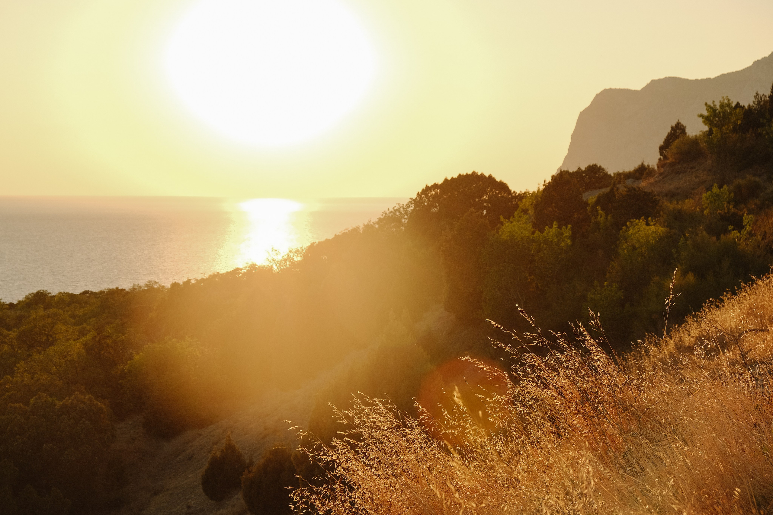 А+Е (Ялта). Профессиональная фотосъемка в Крыму. Натуральные эмоции и живые кадры. Забронируйте дату прямо сейчас!