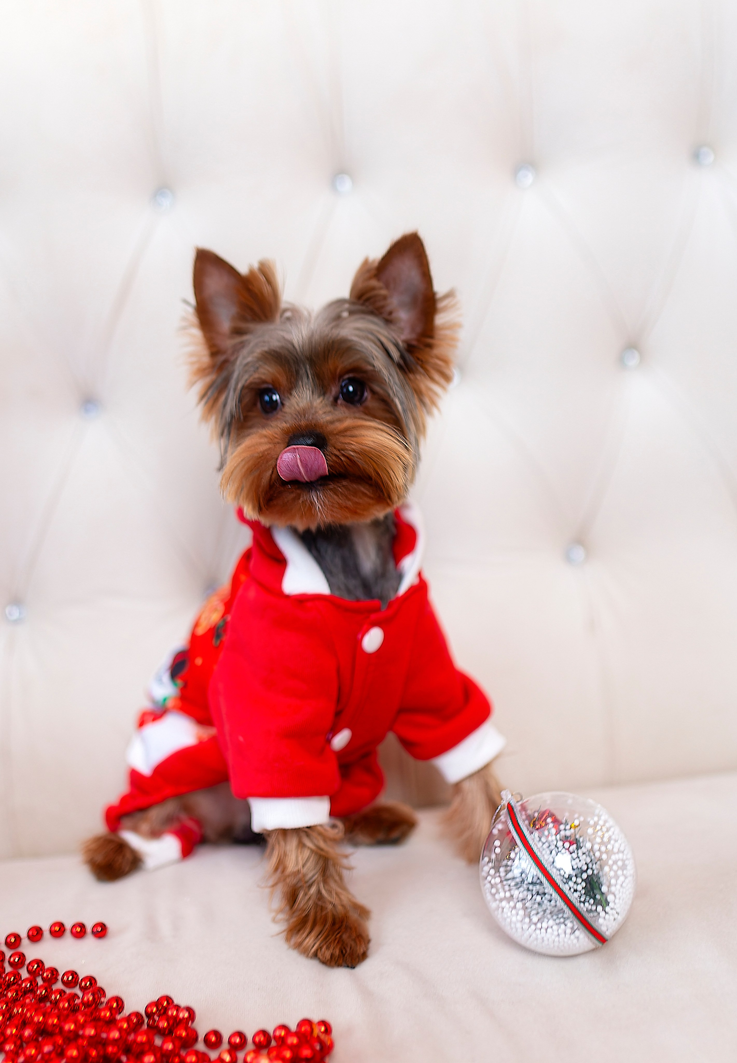 Тофик. Лев Постнов.Фотограф. Нижний Новгород