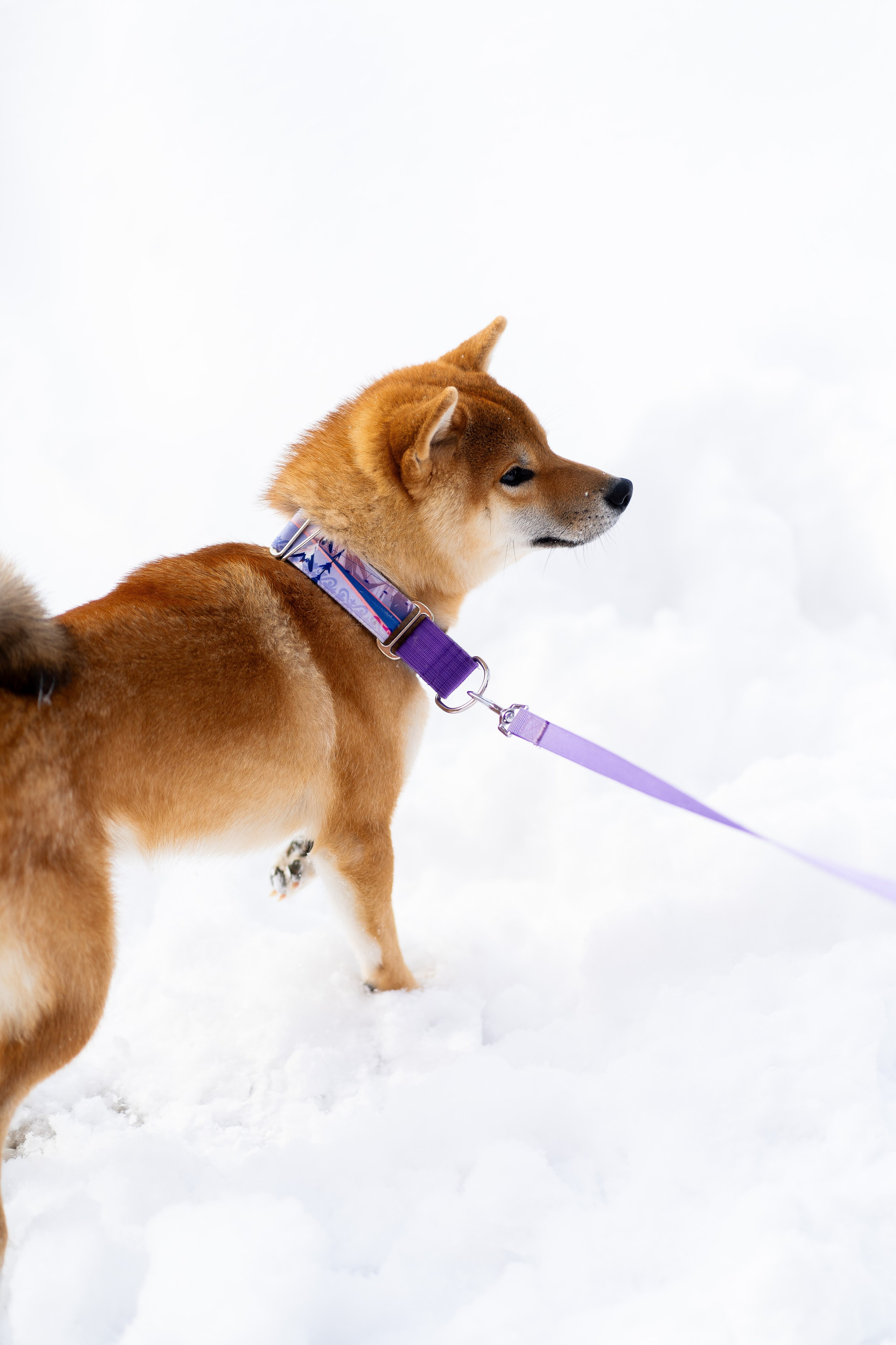Соня&Лёня. Анастасия Паршукова — фотограф Шерегеш Новосибирск