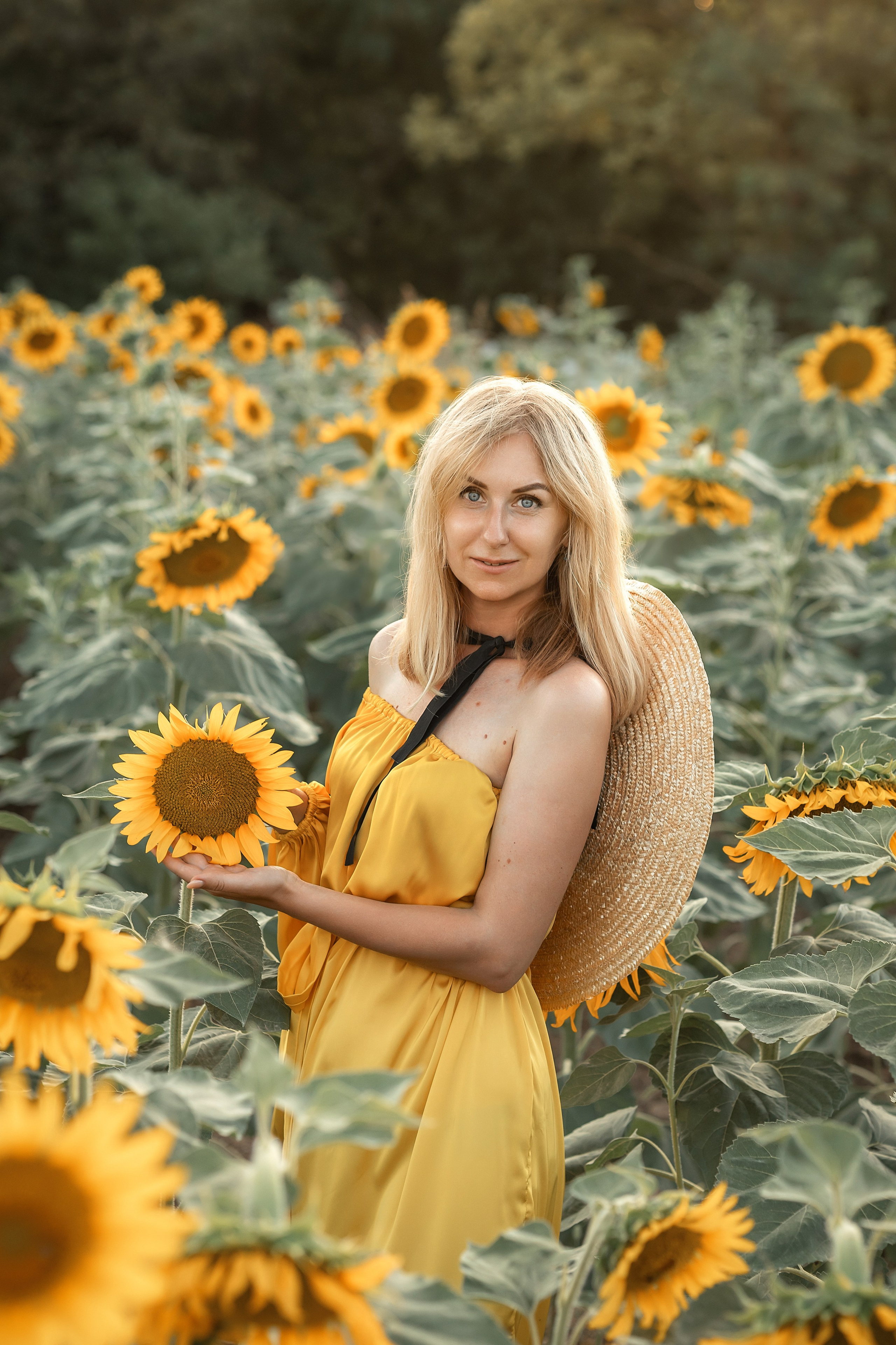 Солнечные подсолнухи. Художественный фотограф Анапа Александра Долбикова