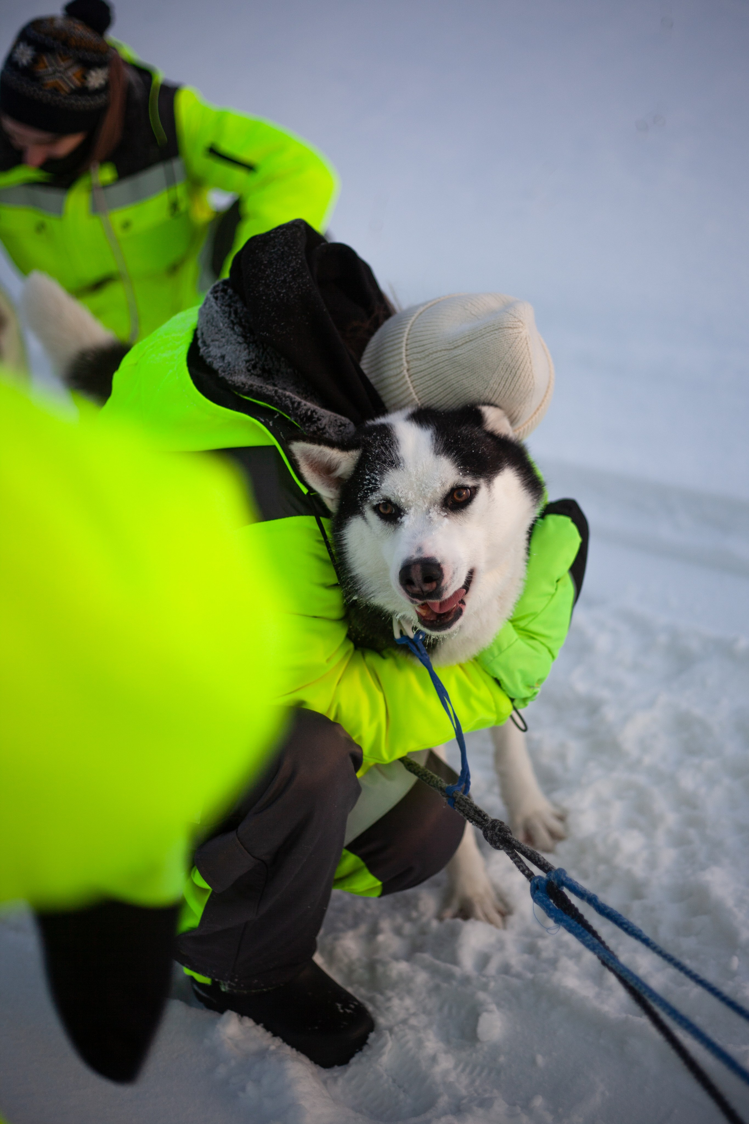Путешествие по Териберке. Северное сияние. Уникальные экспедиции — LUCKY CLAN