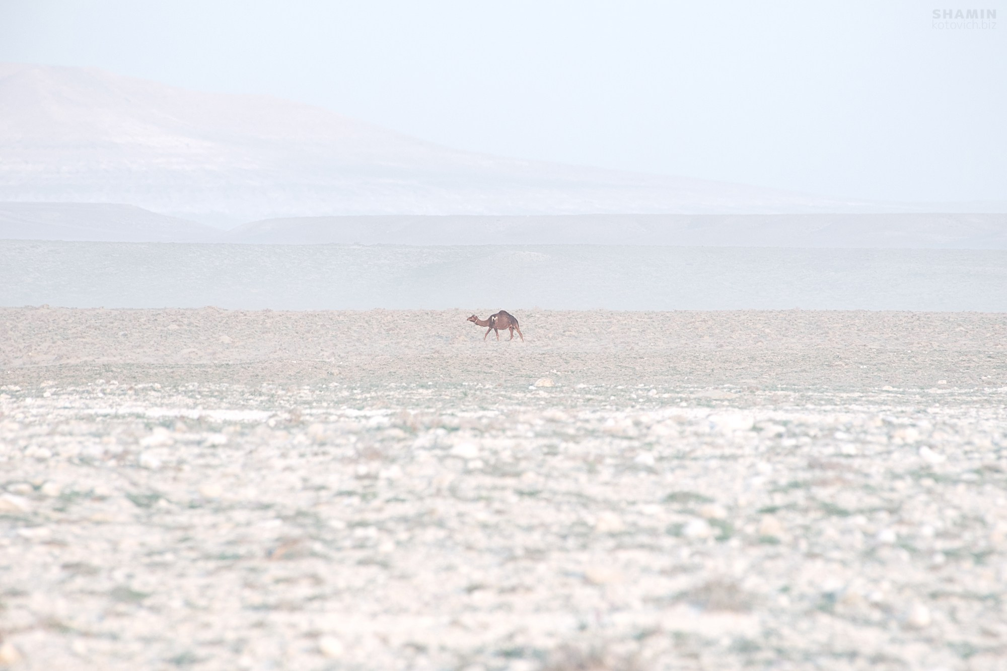 Пейзаж. Фотограф Константин Шамин