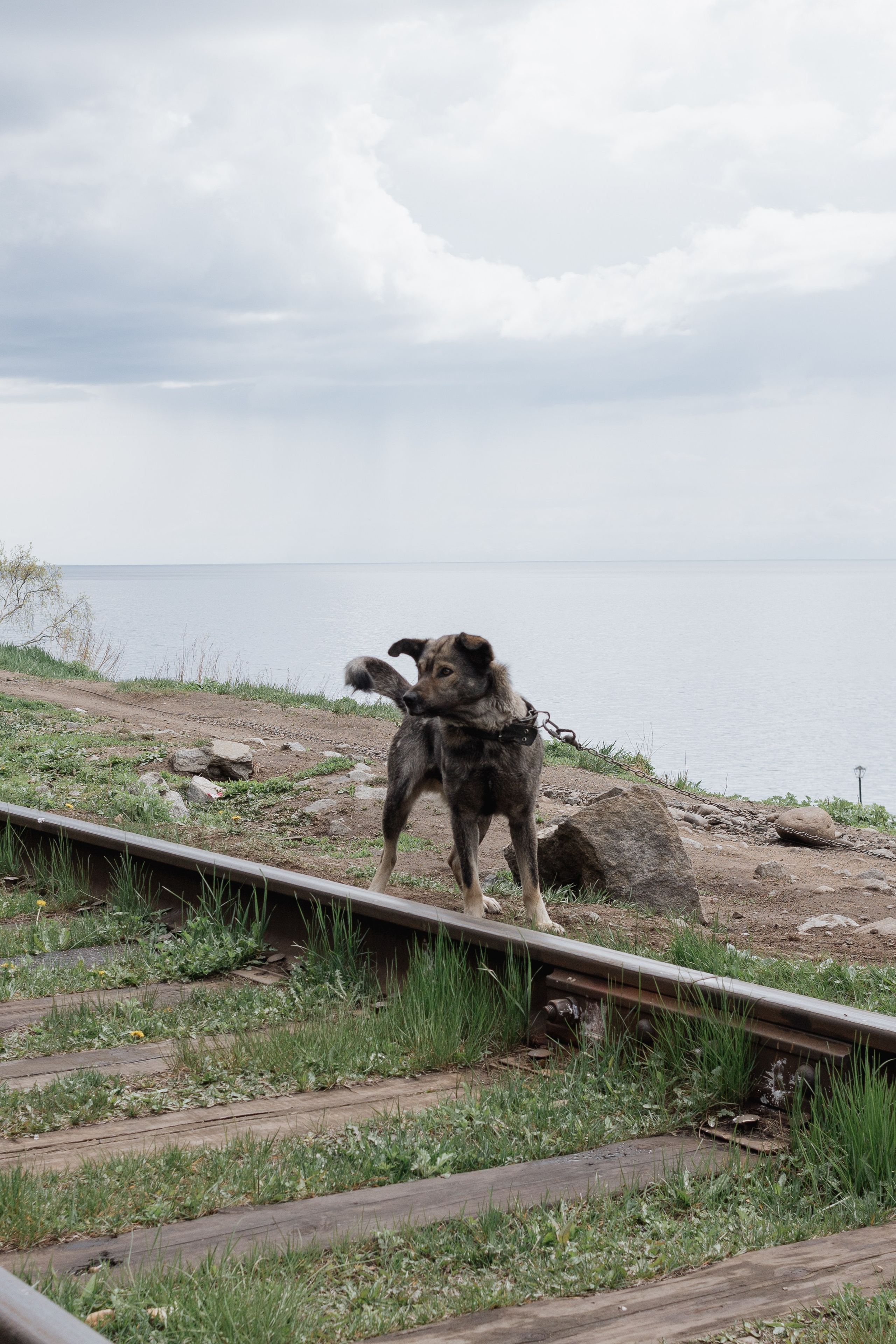 Ретрит на Байкале / Школа Ведических знаний SoVA / 7 дней, 2023. Борщевская Елизавета / фотограф Иркутск