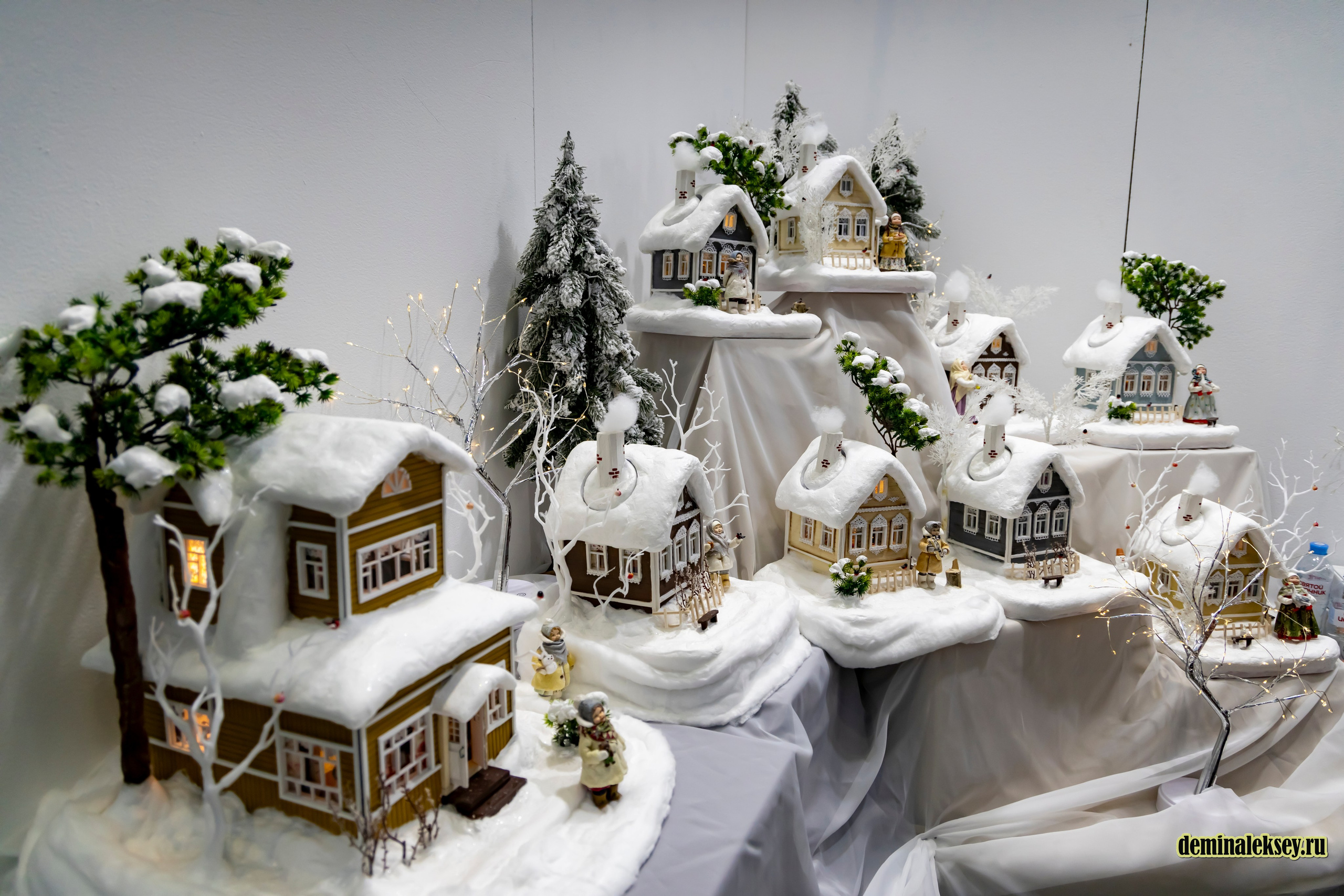 Выставка Уникальная Россия 23 января 2025. Репортажный, семейный и студийный фотограф в Москве Демин Алексей