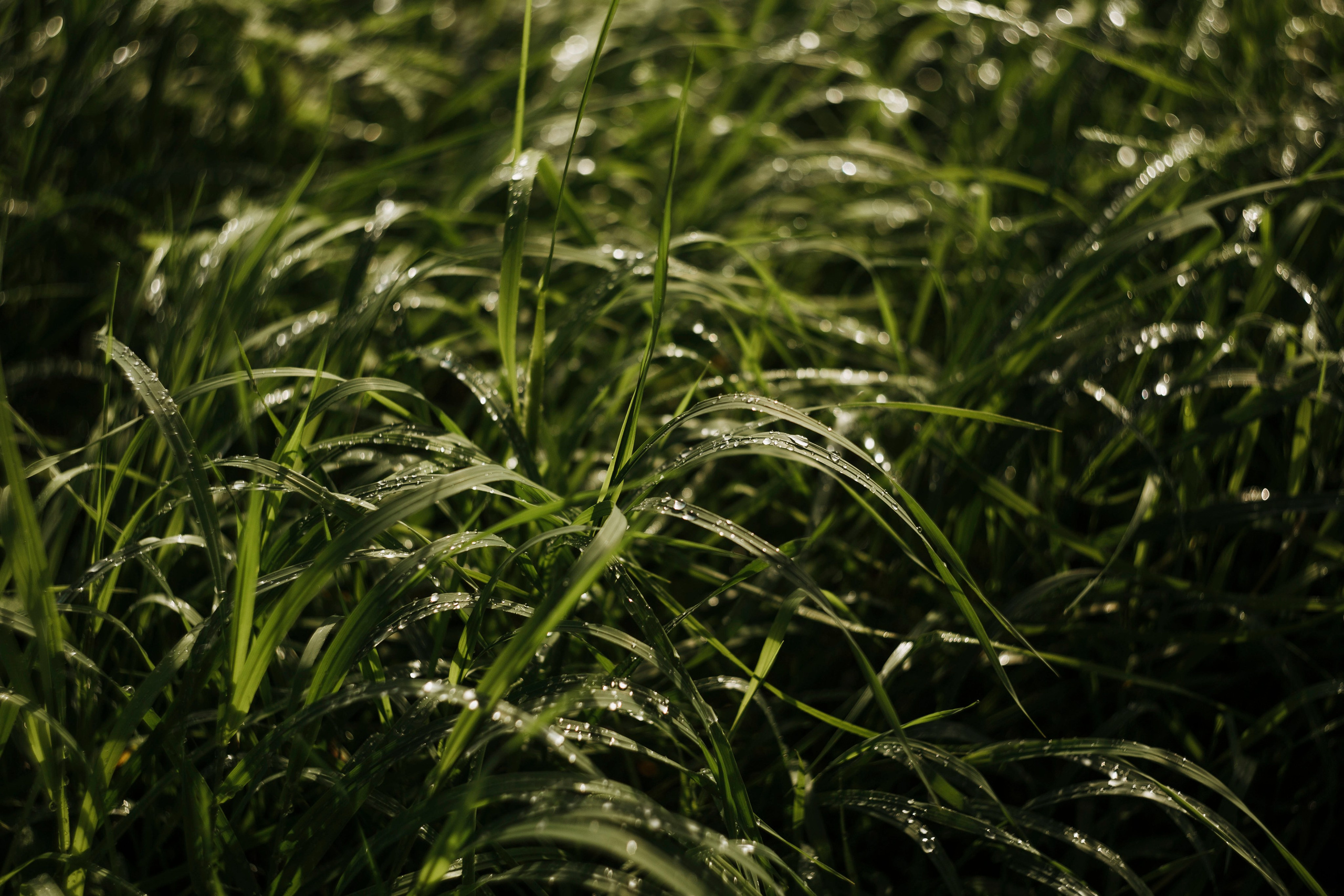 Поход. Ваш портретный фотограф в Москве Катя Прокофьева