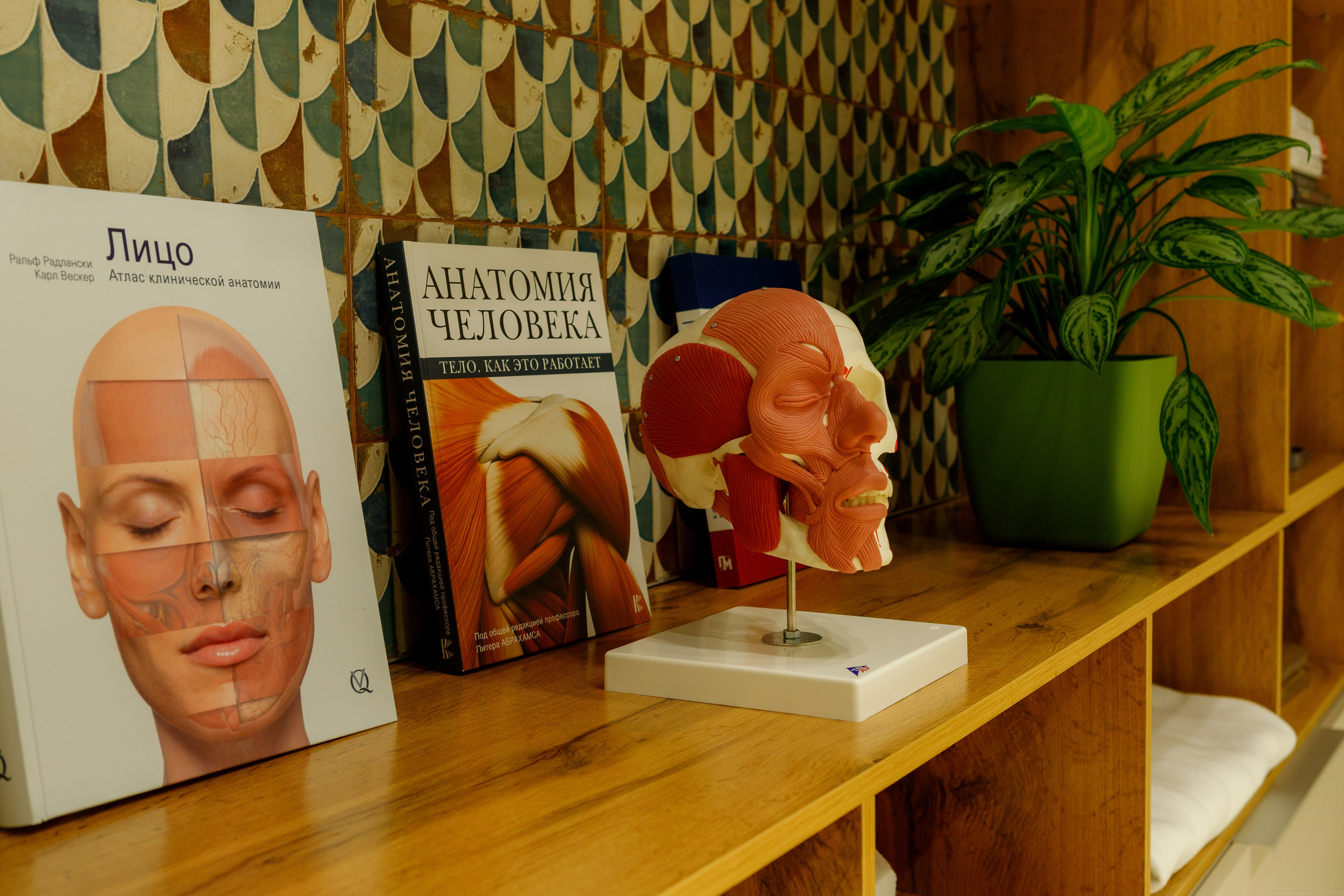 Интерьерная съемка для Massage Life 2024. Выпускные альбомы Казань. Семейный и детский фотограф Михаил Мигачев