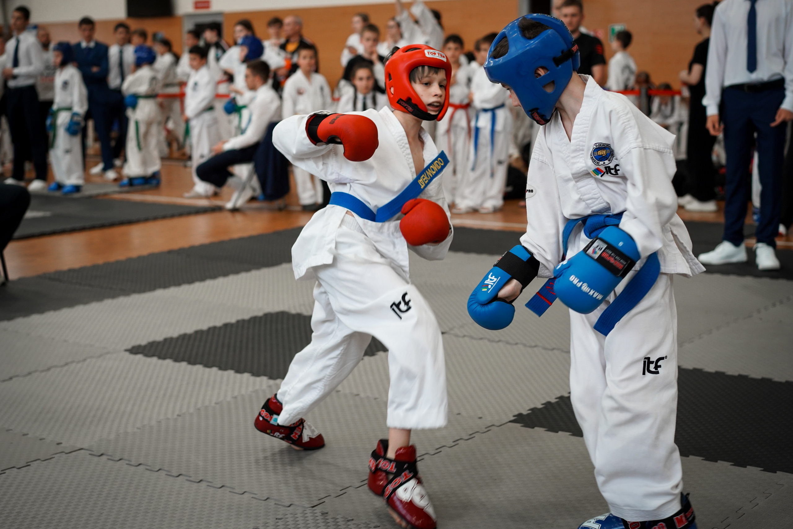 Тхэквандо — соревнования. Выпускные альбомы Натальи Бутко: Новороссийск, Анапа, Геленджик