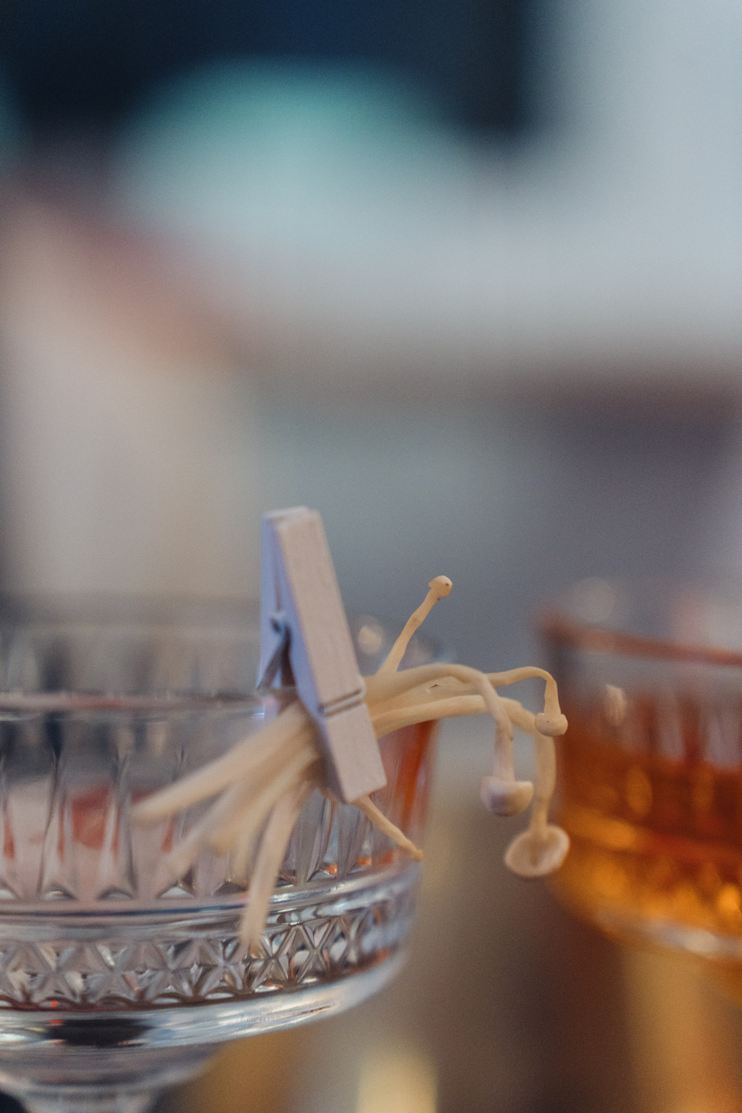 Репортажи. Фотограф Татьяна Ступина Иркутск