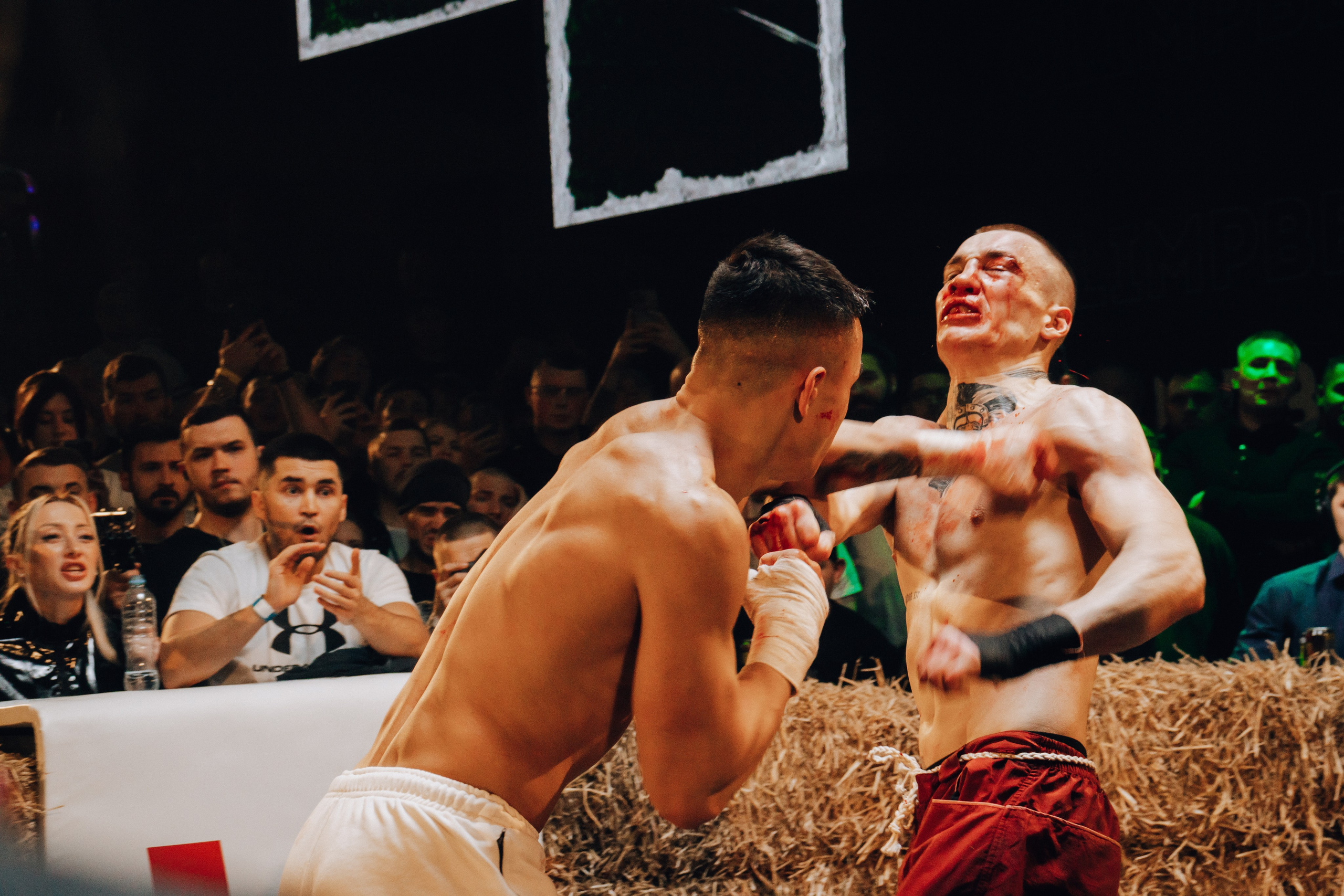 Кулачные бои TopDog. Анастасия Тен