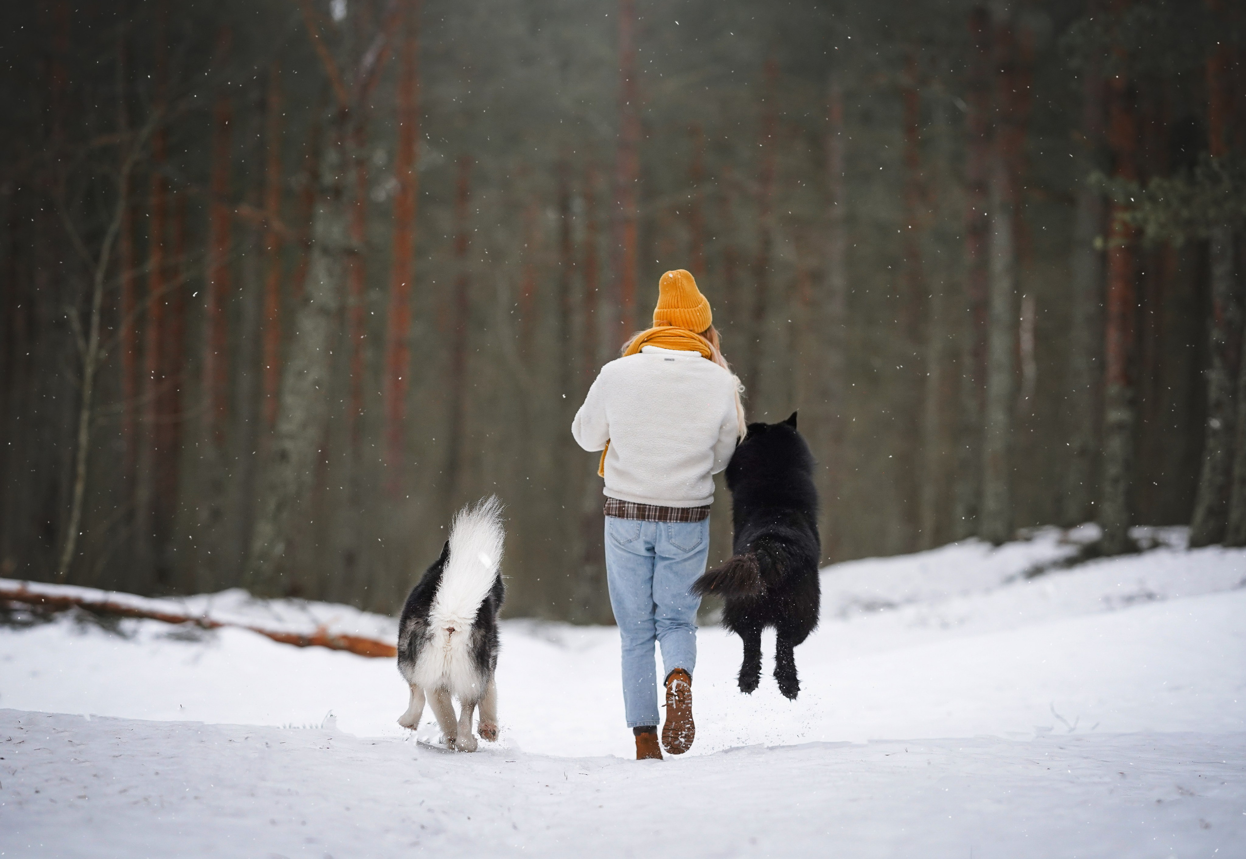 Лора Джанго и Хэппи. Фотограф-анималист в Санкт-Петербурге Яна Мартынова