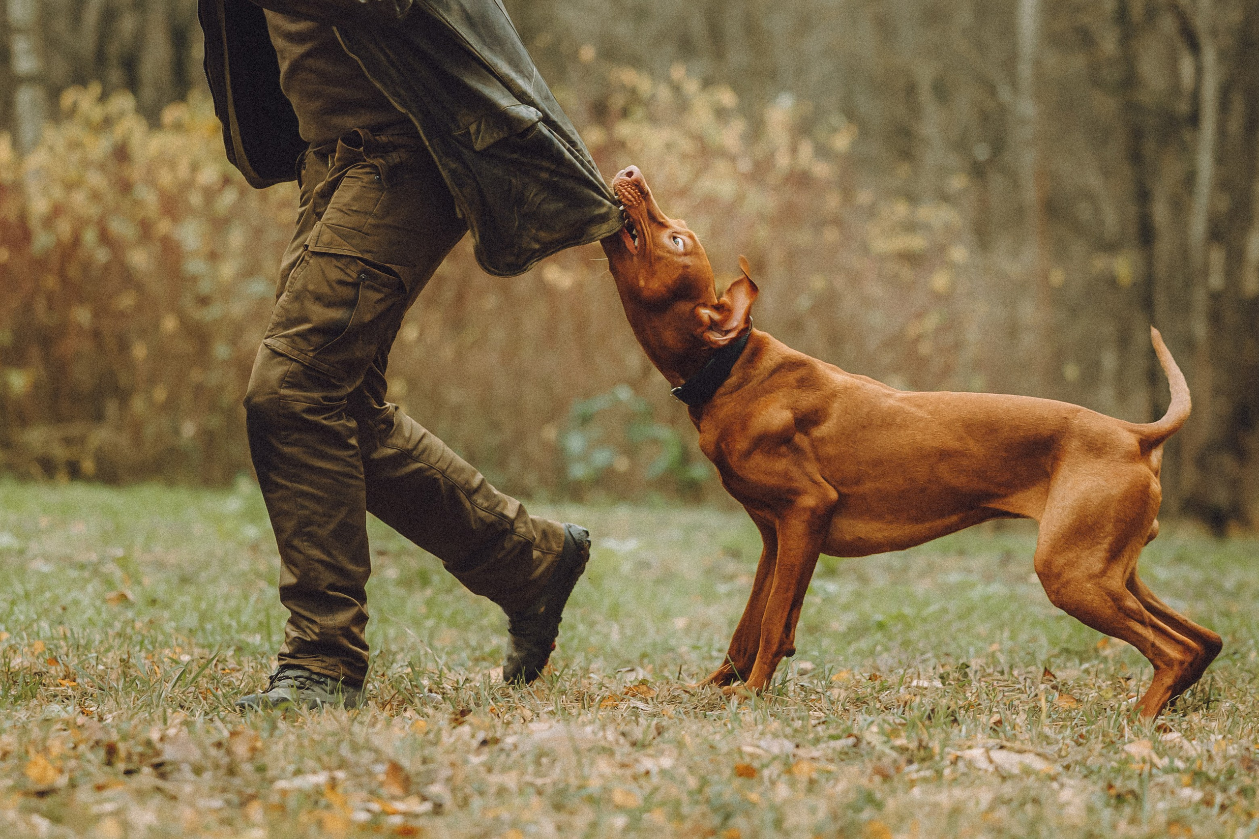 Дориан и его семья