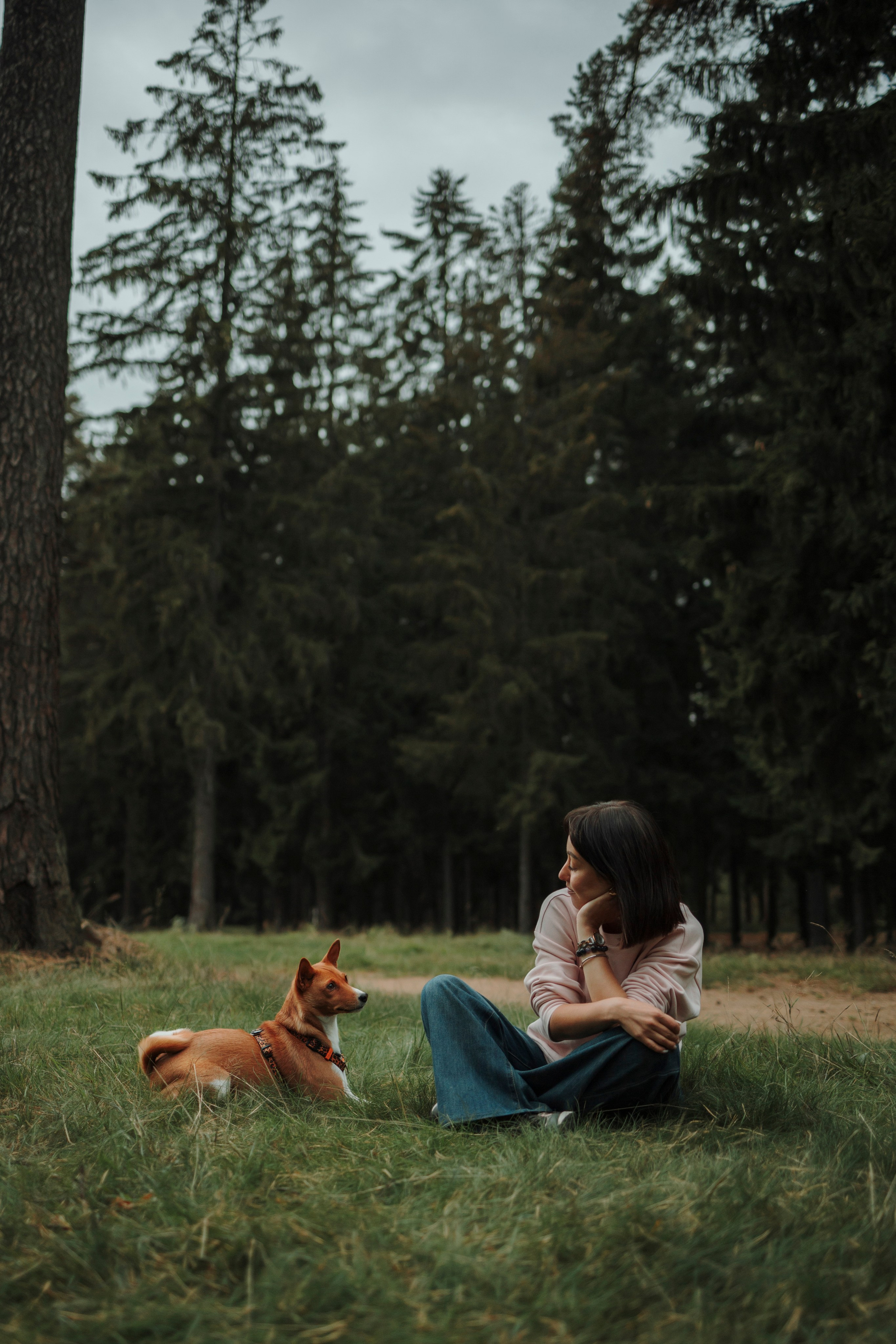 Даша и Лора. Фотограф-анималист в Санкт-Петеребурге Титова Алиса
