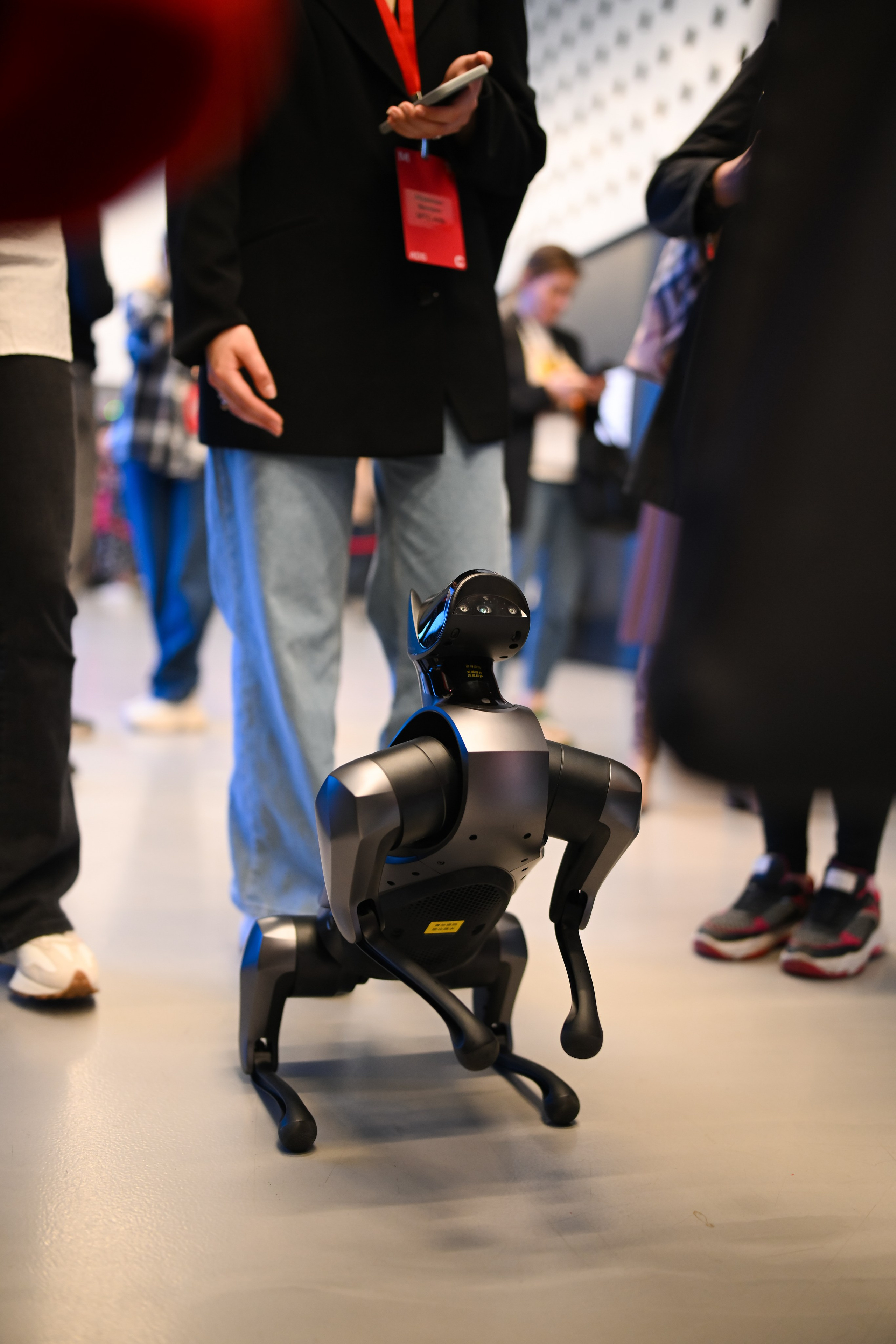 MTS ADS| Большая конференция маркетолога. Портфолио