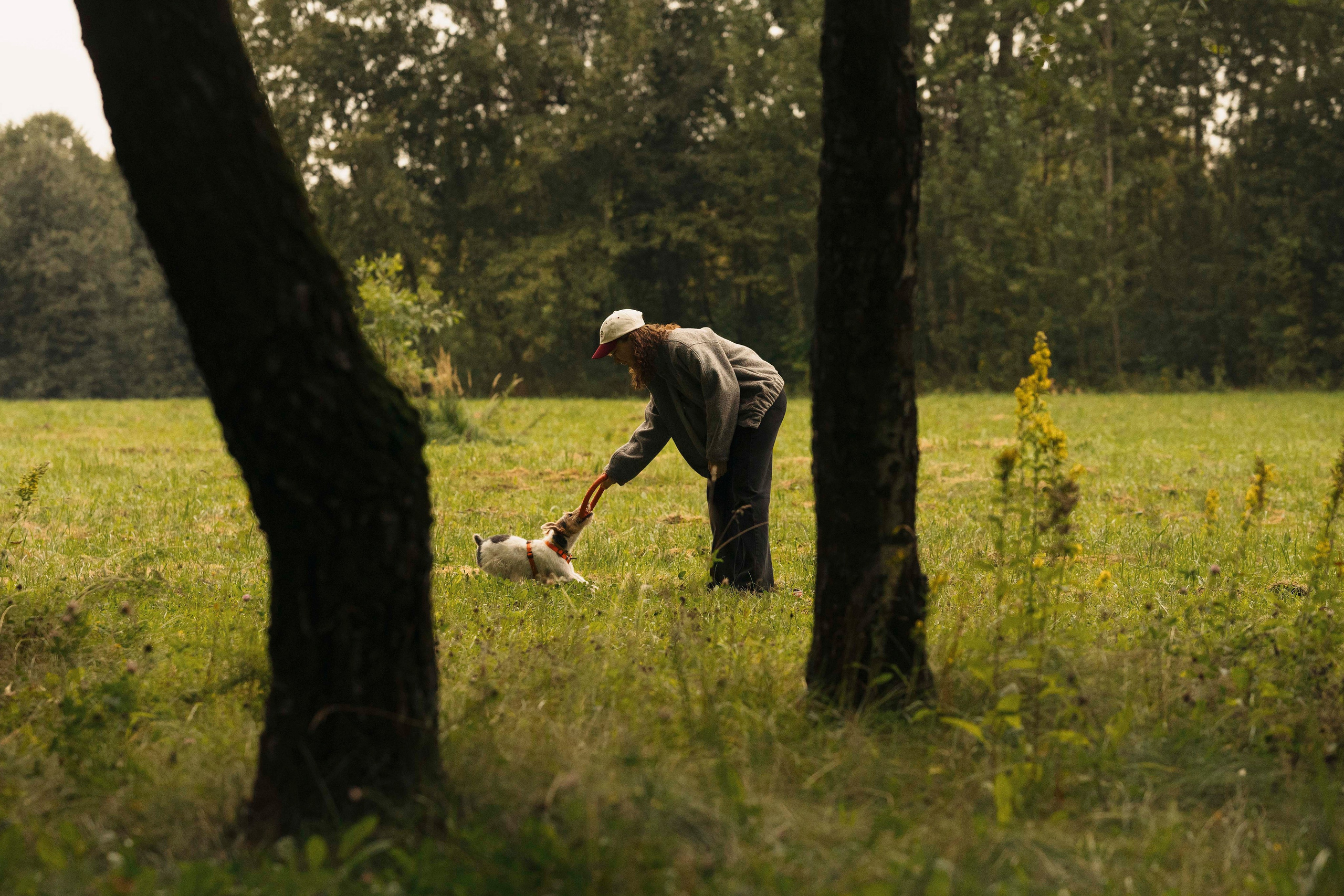 Мартин. Фотограф- анималист Александра Матвеева