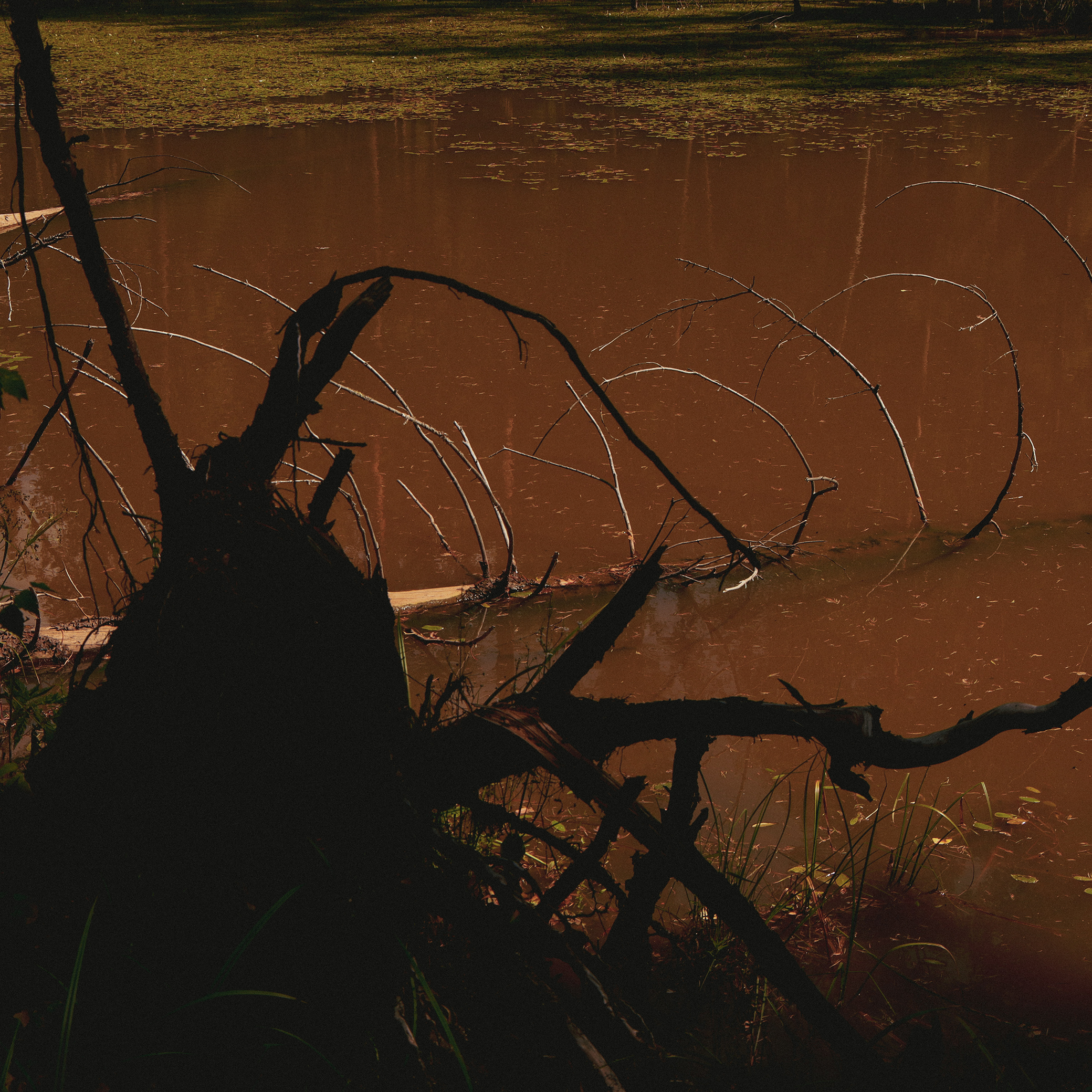 Summer hike. Фотограф/дизайнер в Екатеринбурге Хитрый Дмитрий