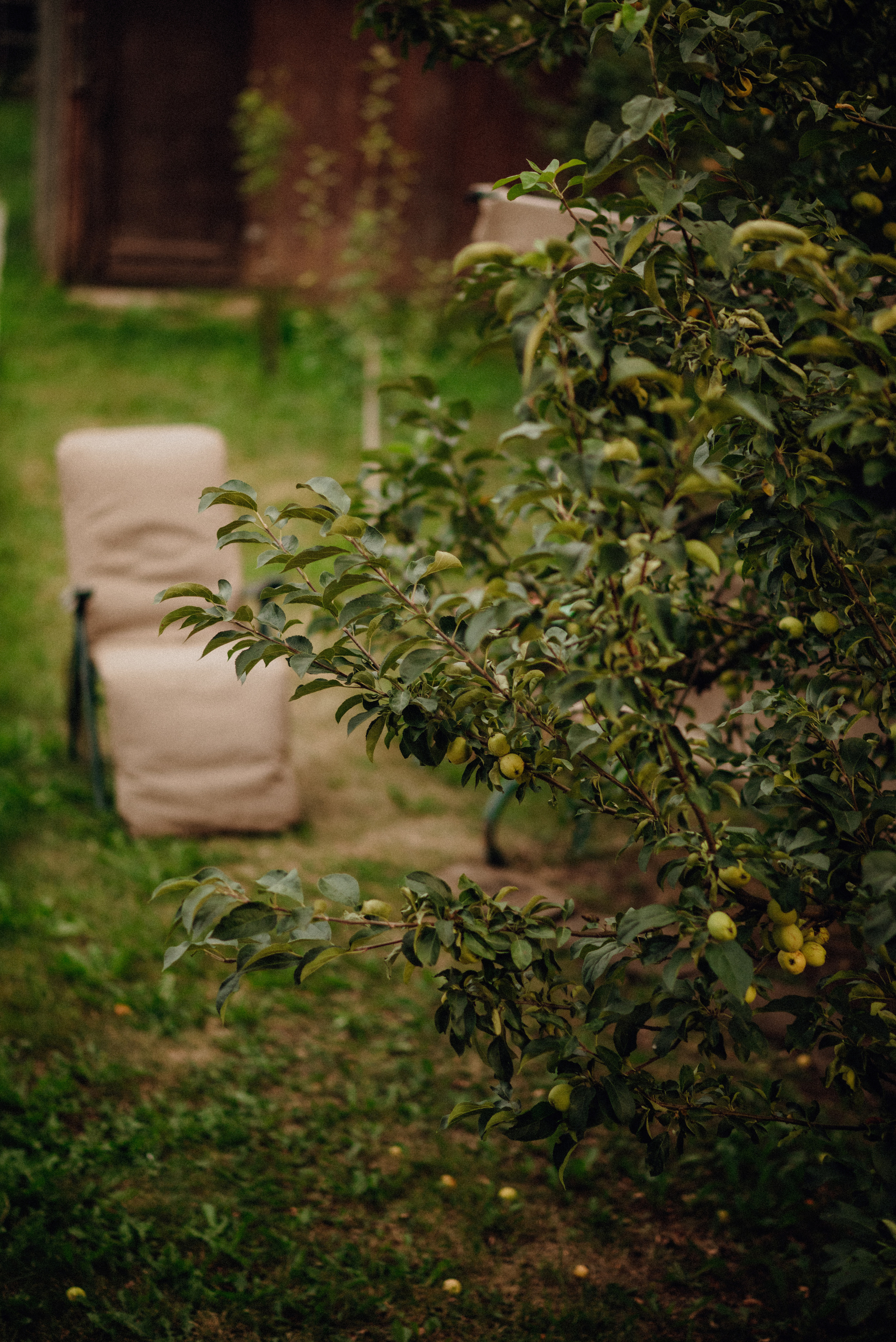 Чудесный летний вечер. Семейный и детский фотограф Анастасия Иванова