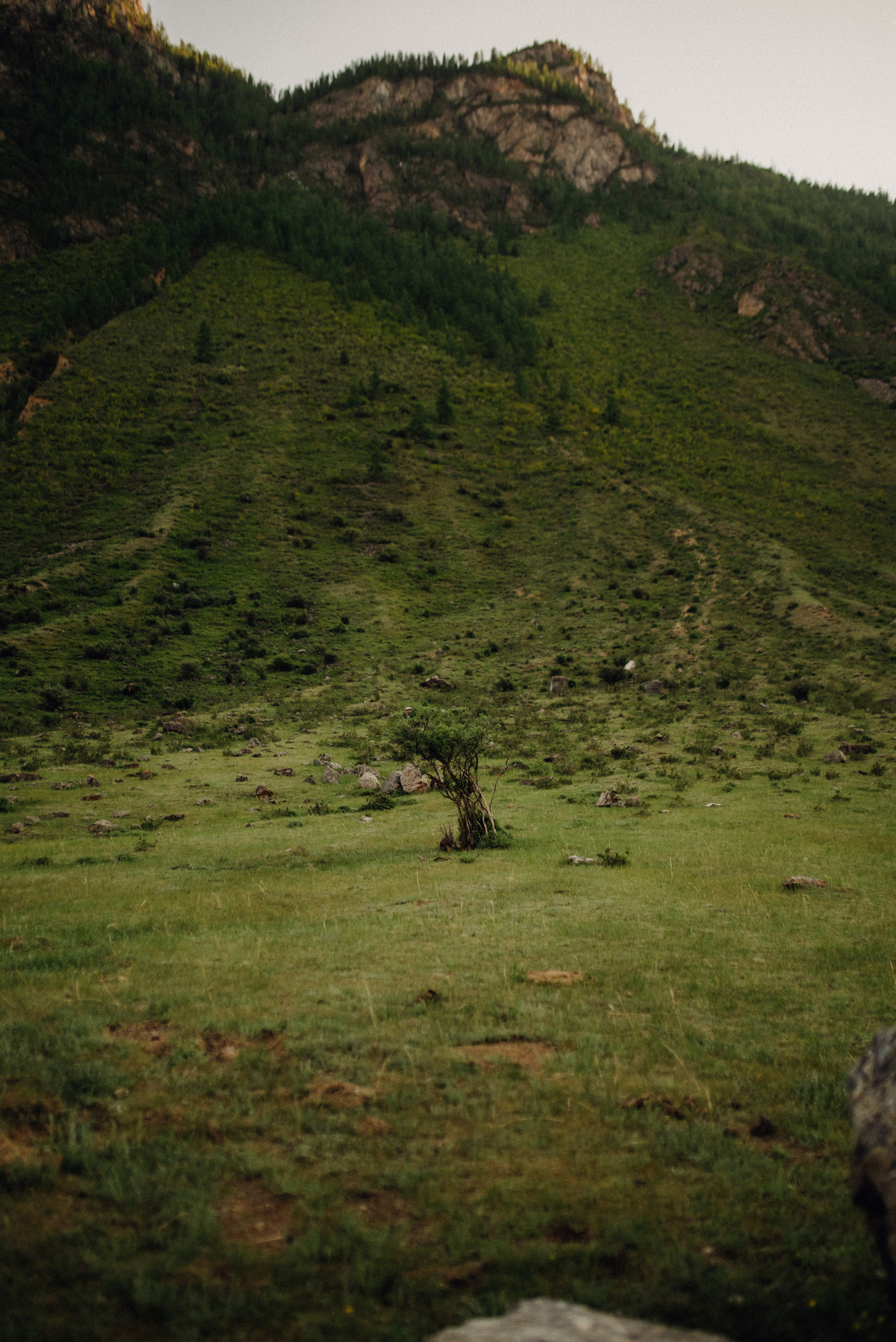 Ксюша и Миша. Семейный и детский фотограф Анастасия Иванова