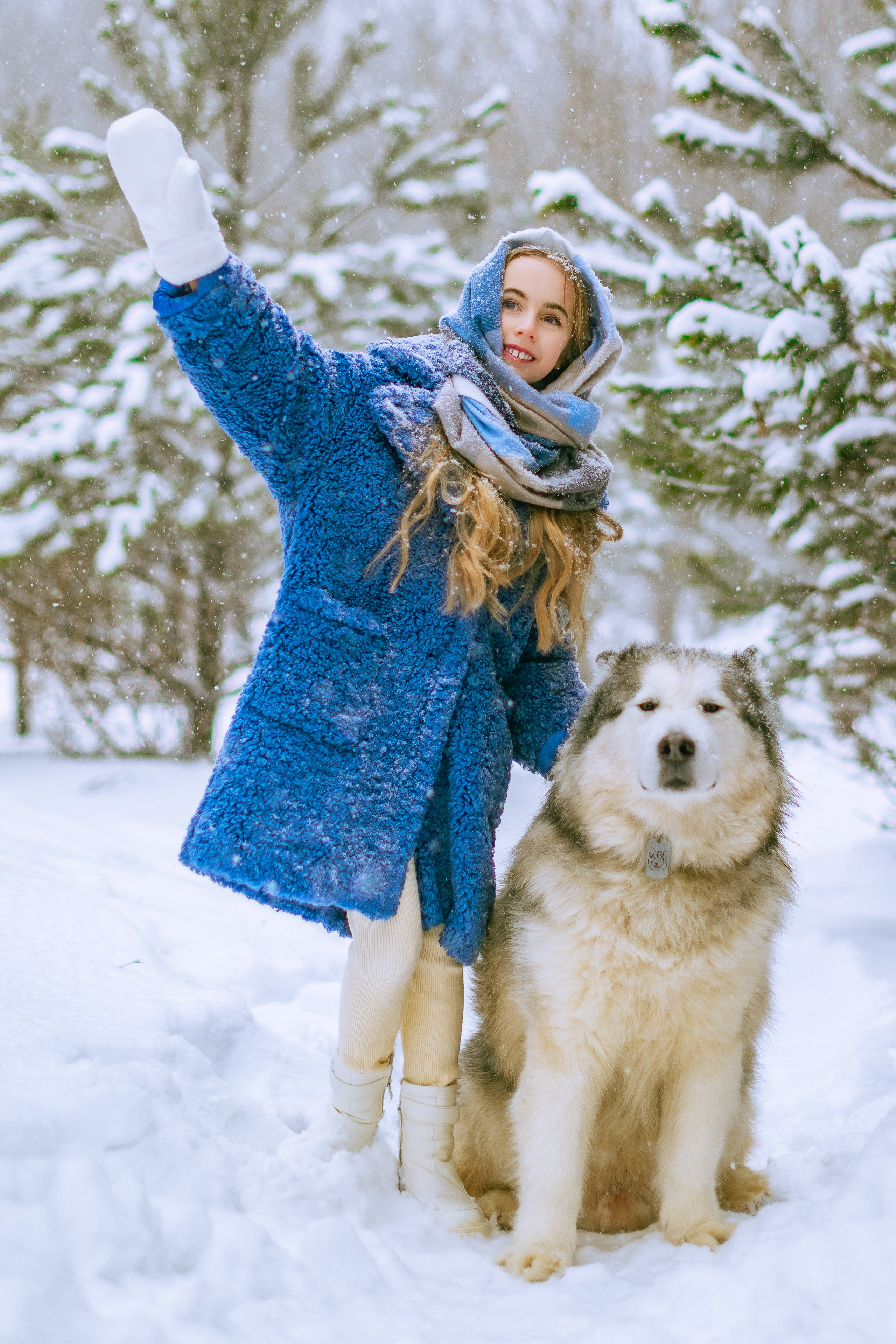 София и аляскинский маламут. Фото и видео Москва, Московский. Свадебный фотограф, видеограф, фотосессии, видеосъемка