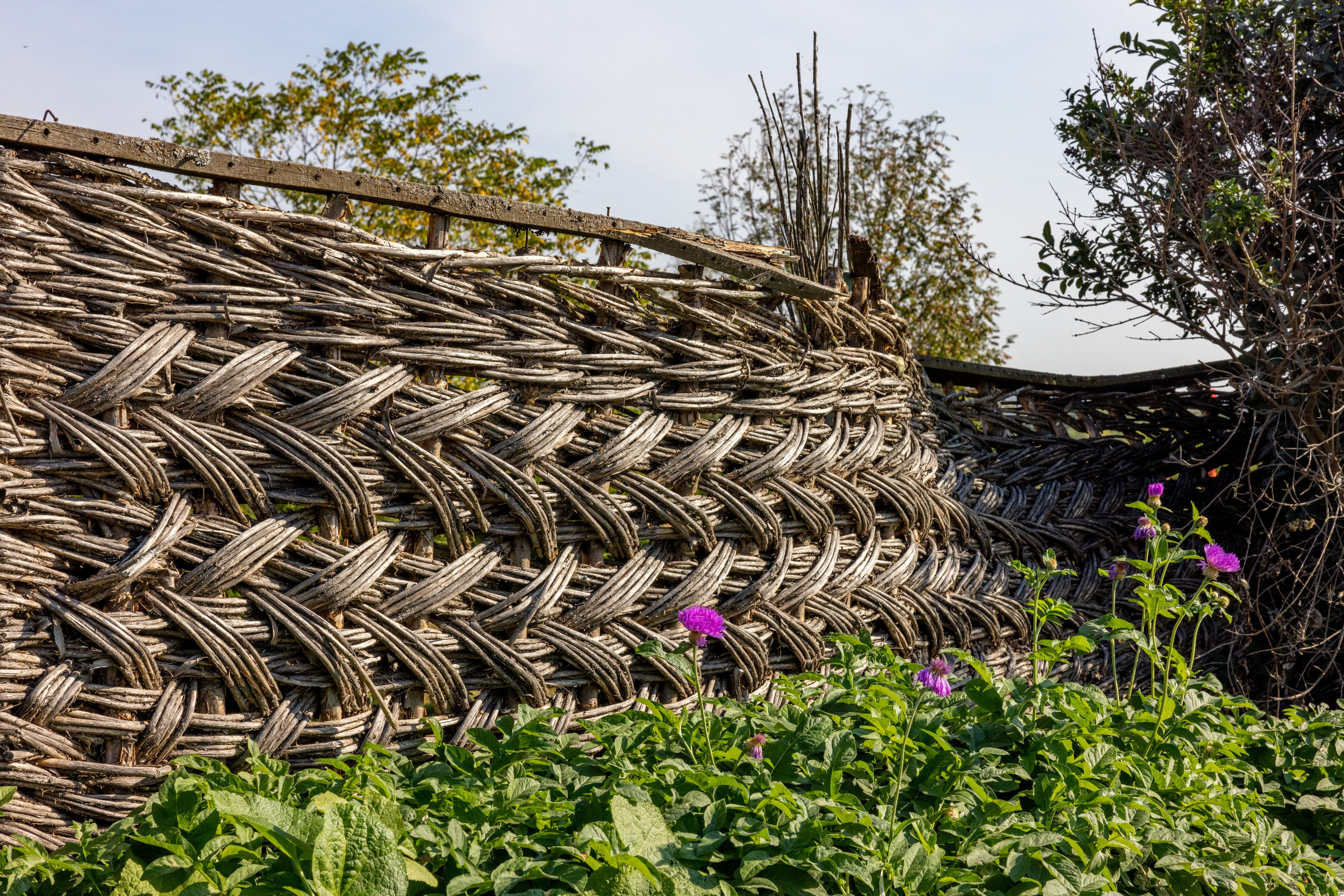 Поездка на поле Кулеково. Фотограф в Туле Крупский АнДРей. Фотостудия «КАДР71» в Туле