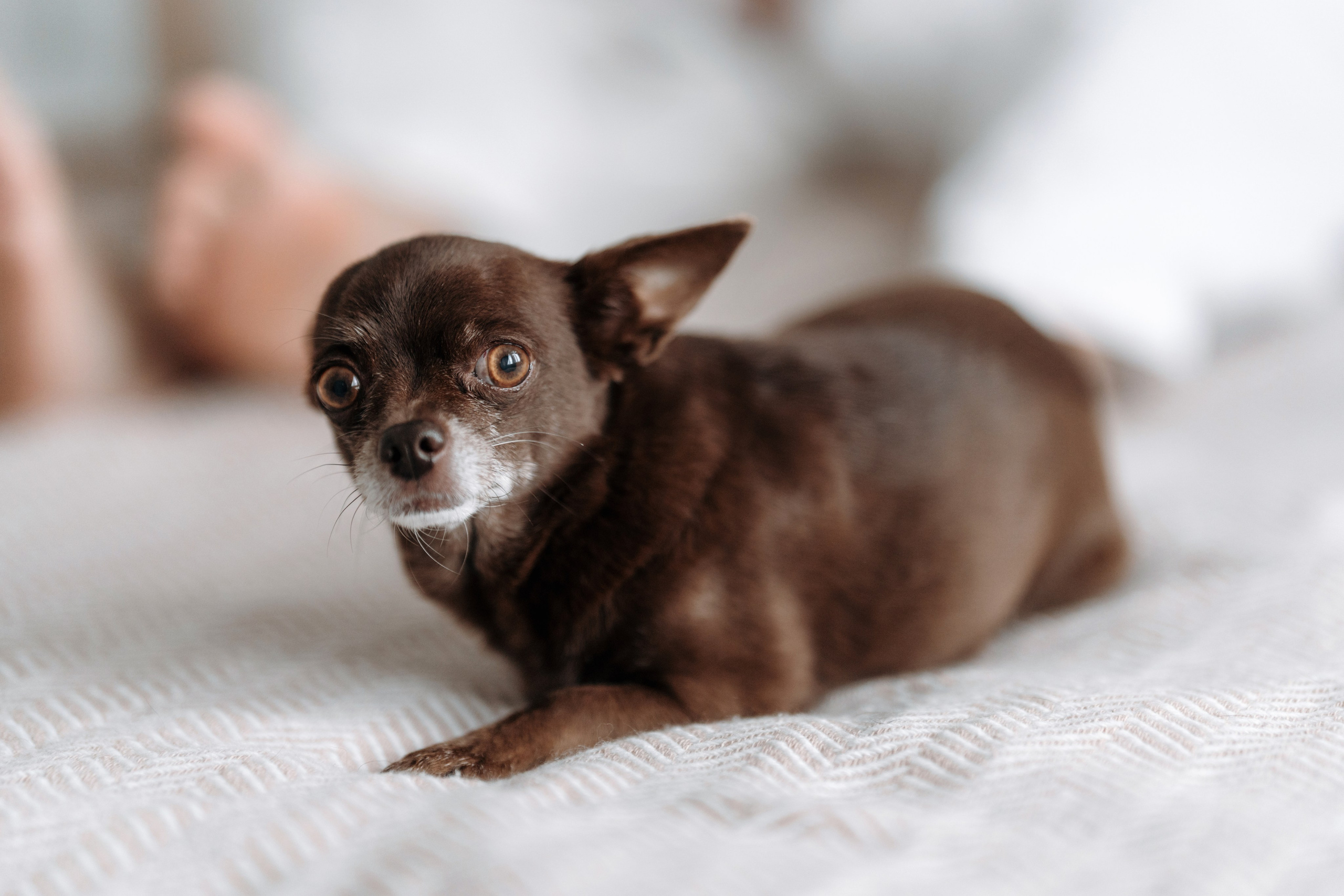 Соня и малыш Марс. Семейный и свадебный фотограф в Ульяновске Арина Авдеева