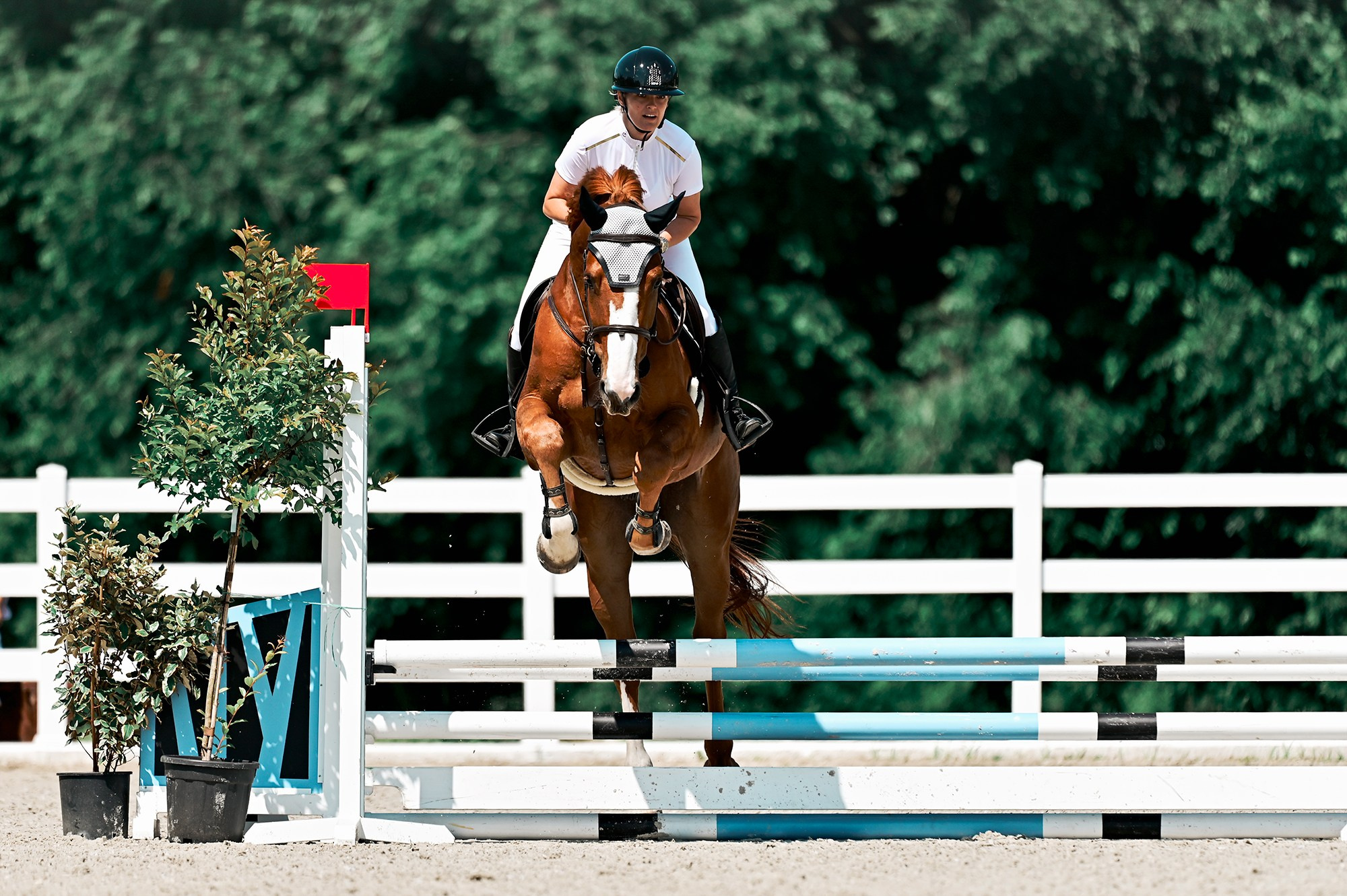 Конкур. Конный фотограф Alesya Safe