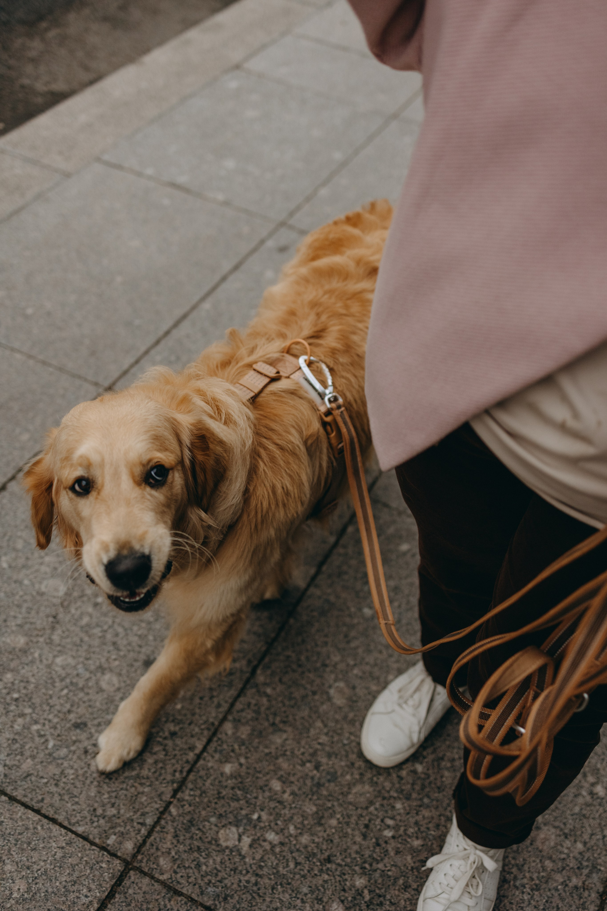 Бетти и ее семья. Фотограф — Анималист | Санкт-Петербург