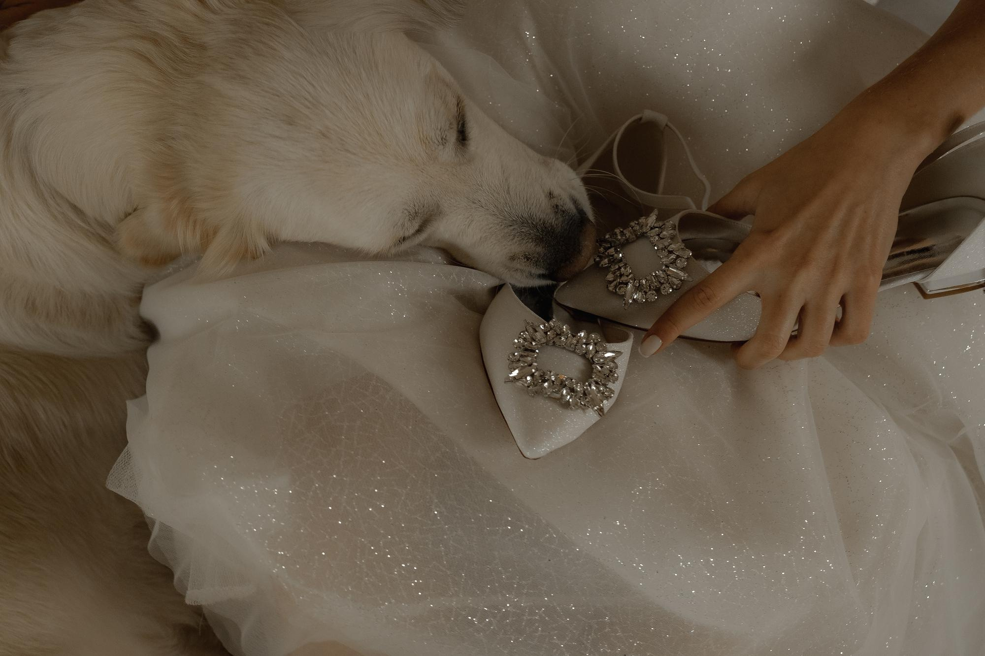 Vlad_Ksusha_Barsa. Сентиментальная свадебная фотография