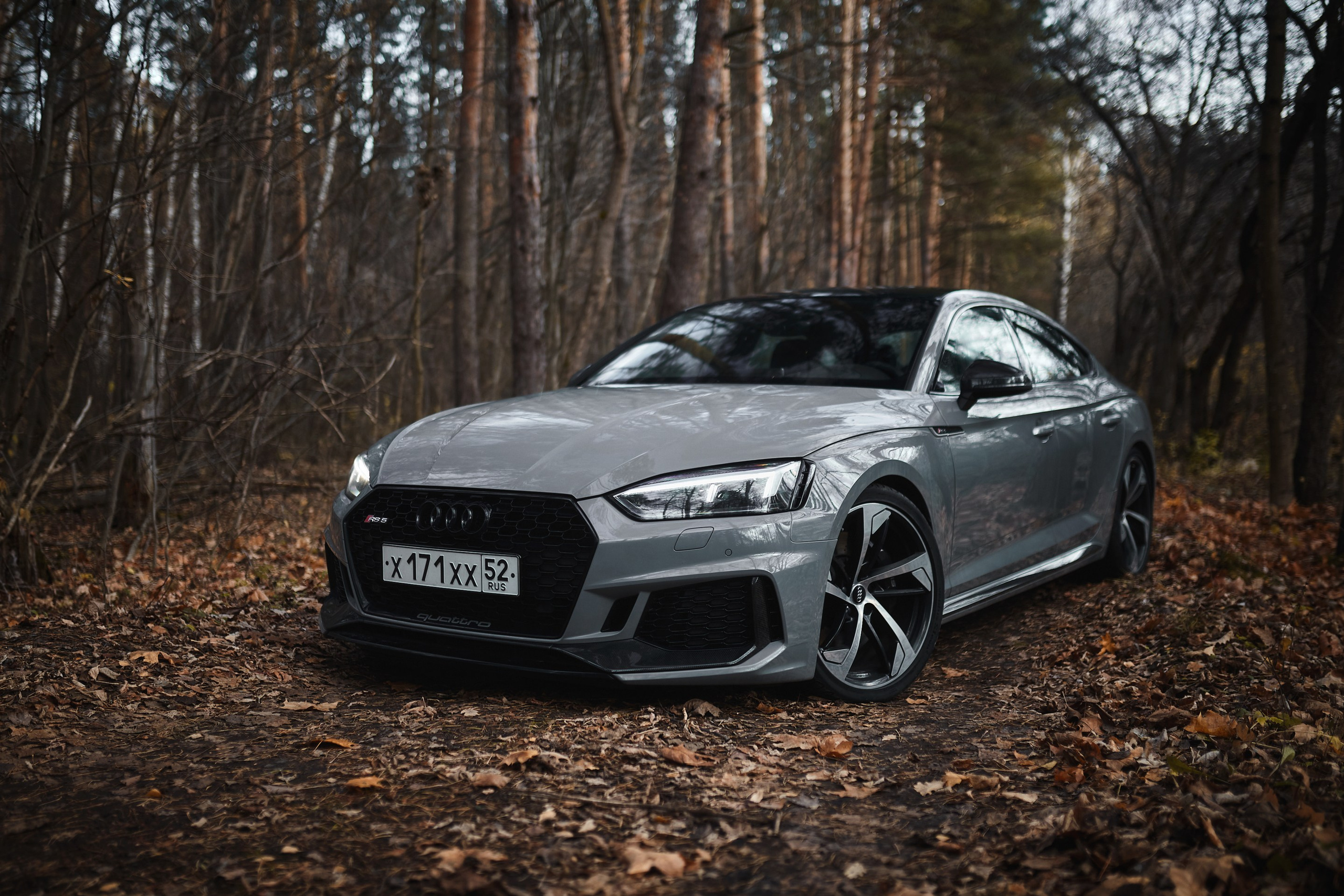 Audi RS5. DKARPOCHEVA PHOTOGRAPHY