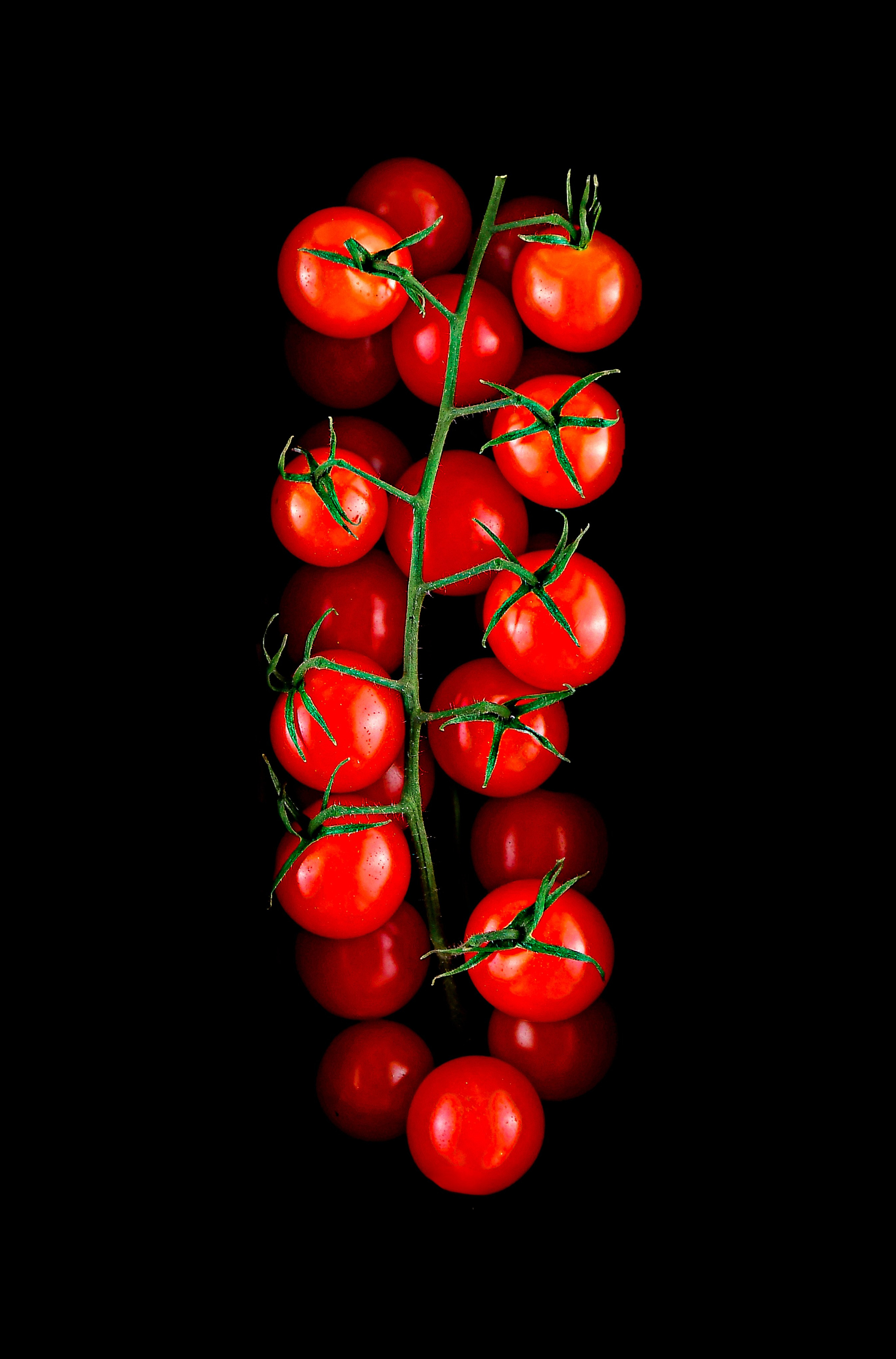 Предметная съемка в Москве. Фотограф — Вячеслав Иванов